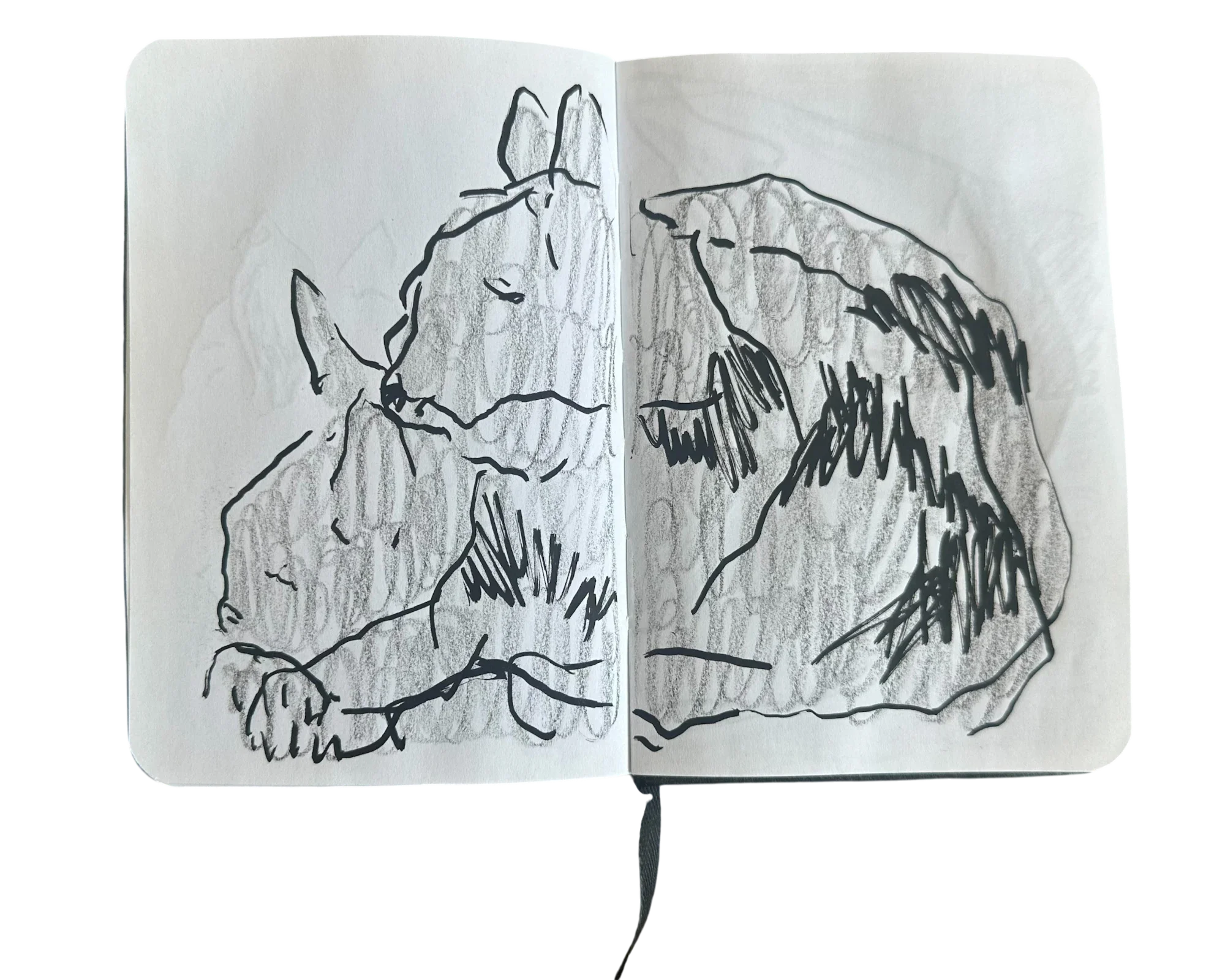 JLSB-2022-1.19 STUPID BOOK.webp