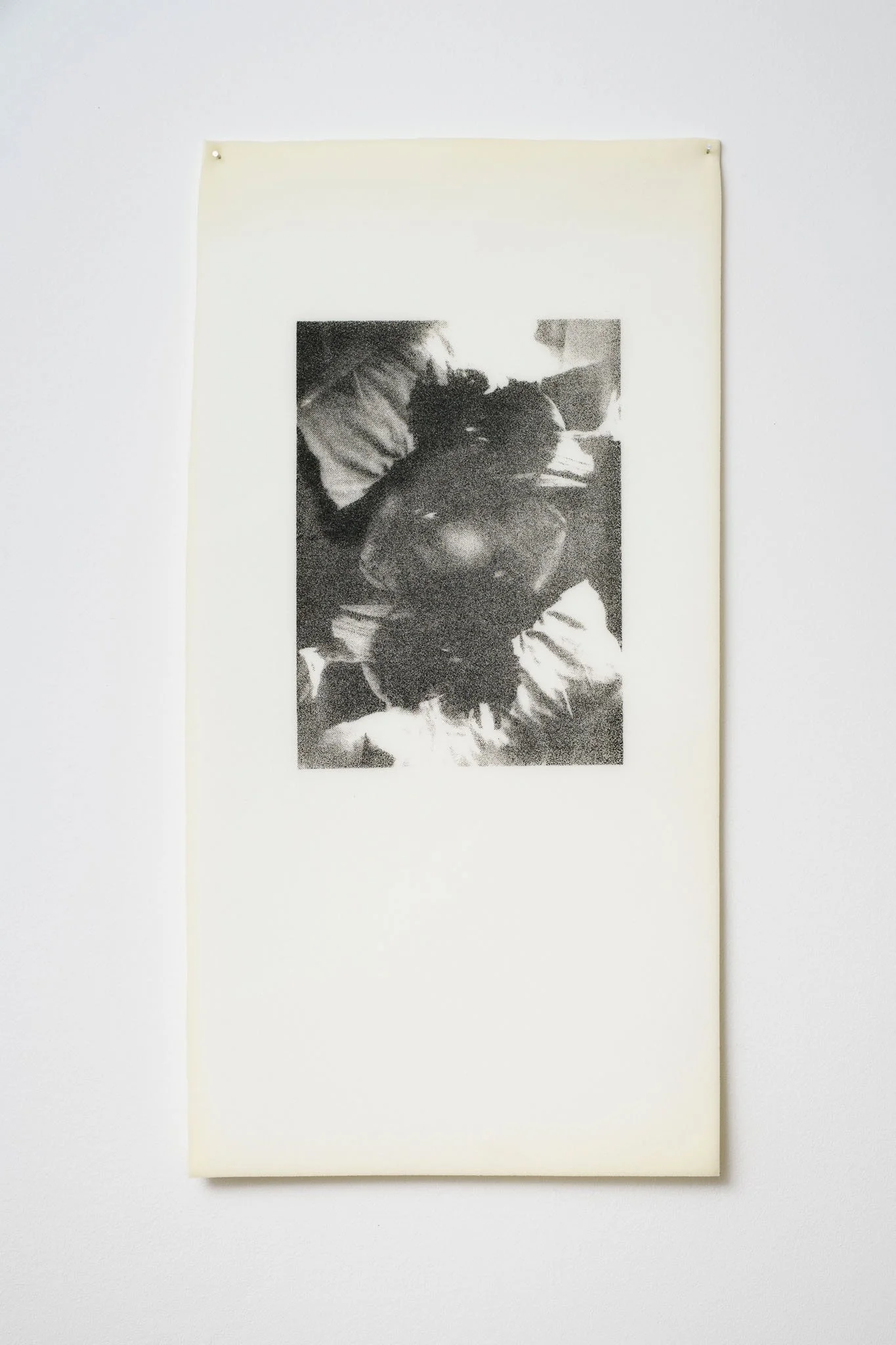 Janneke Leenders, “Digested”, 2023, serigrafia su spugna, cm 91 x 46.5, courtesy Gilda Lavia, ph Giorgio Benni