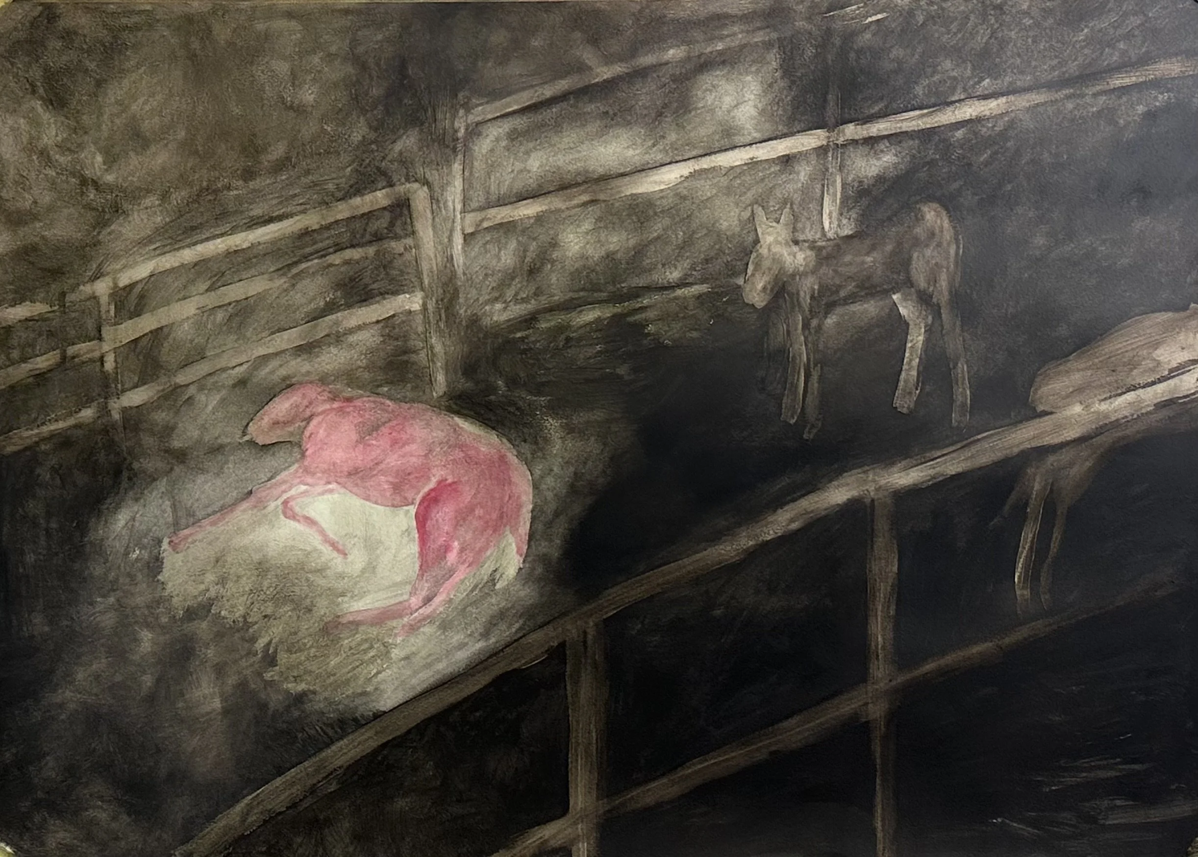 ROADKILL
Oil and pigments on paper
mounted on wooden frame
90 x 60 cm
2025