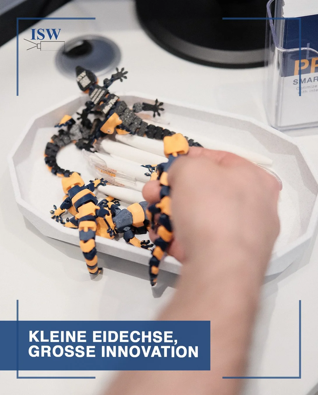 3DTechnik Eidechsen in Schale mit Kugelschreibern