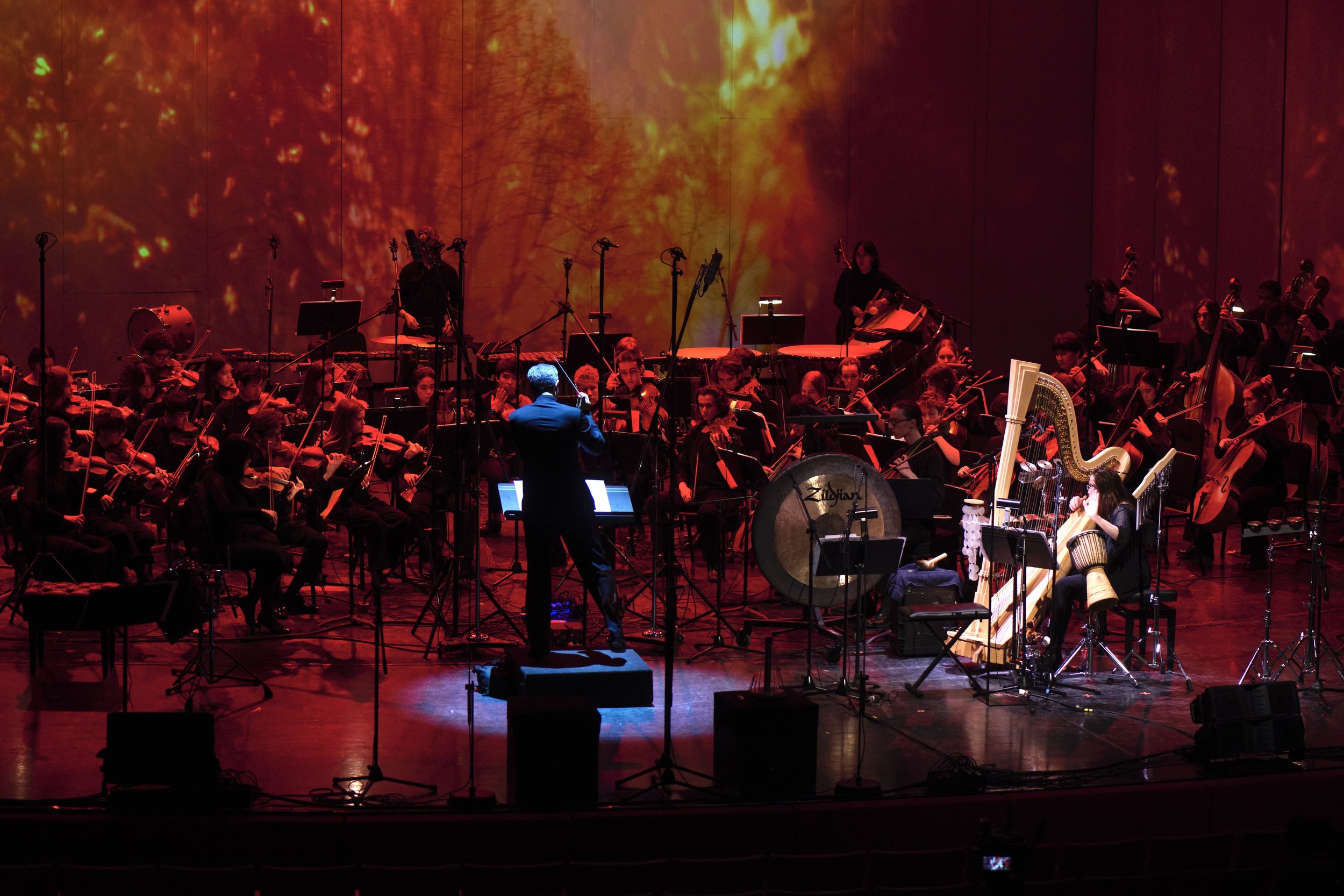 25-10-39_1543 2 Yolanda Kondonassis.jpg