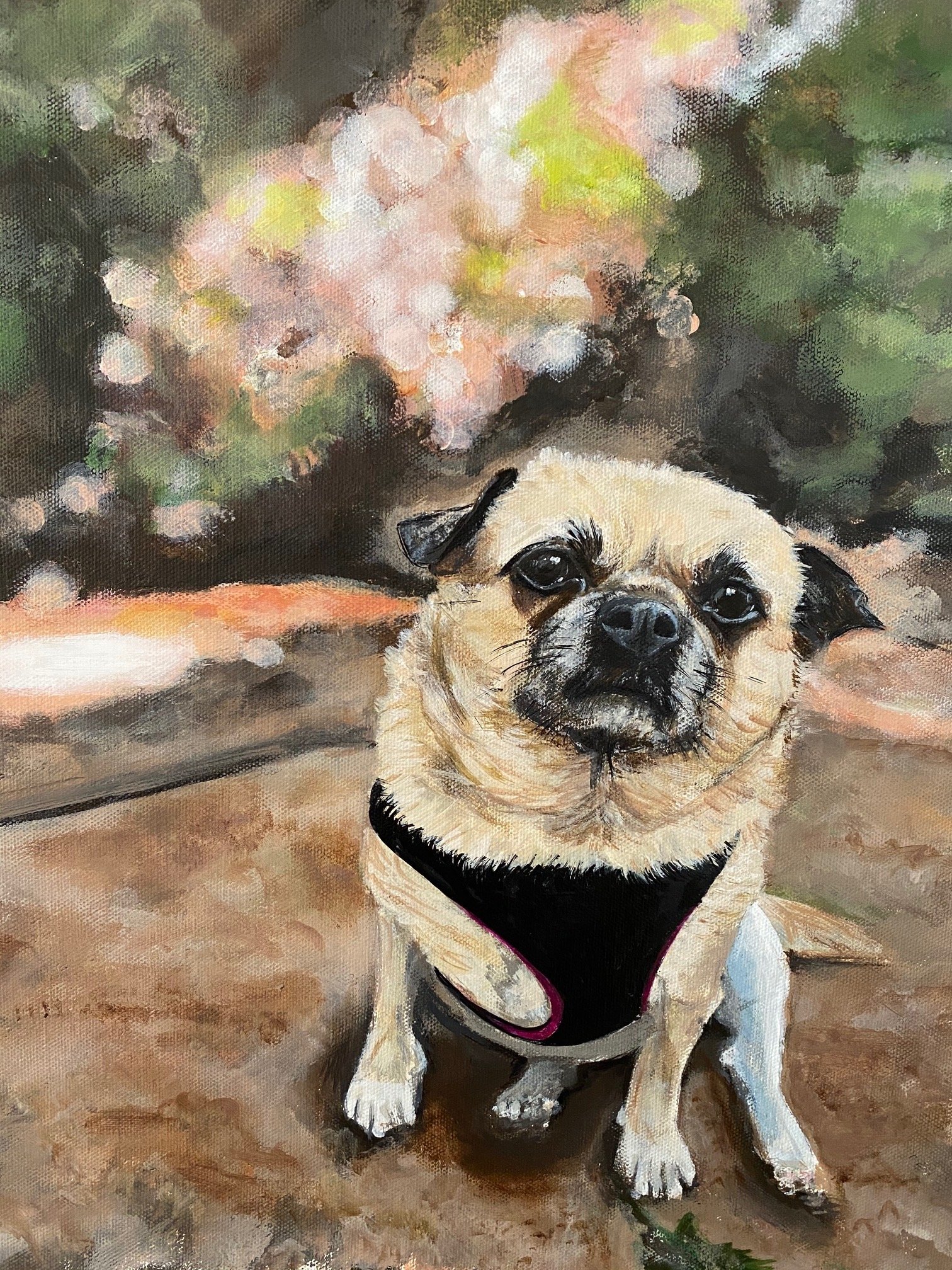 ‘Peach’ 12x16 Acrylic.
