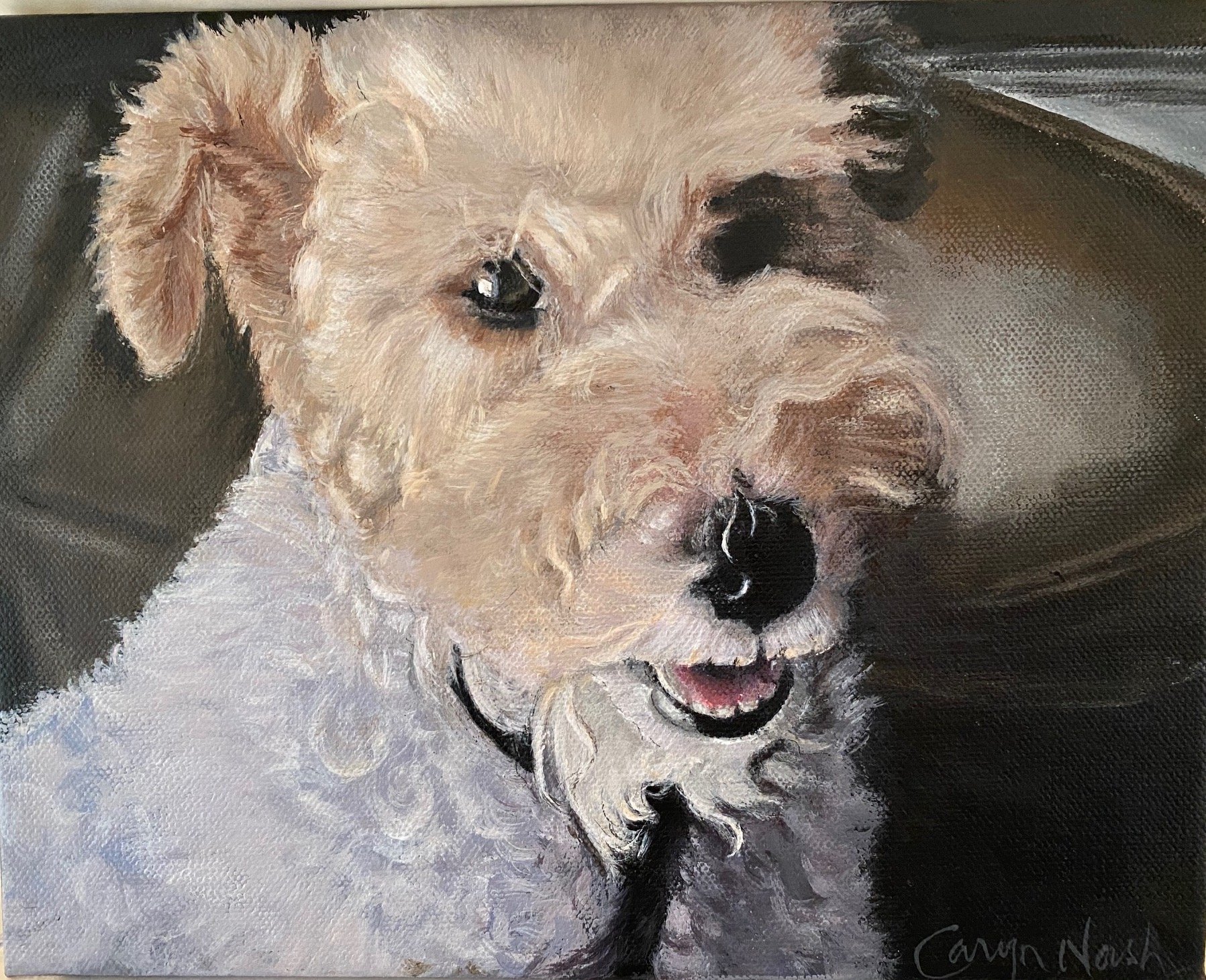 ‘Molly’ 8x10 Acrylic.