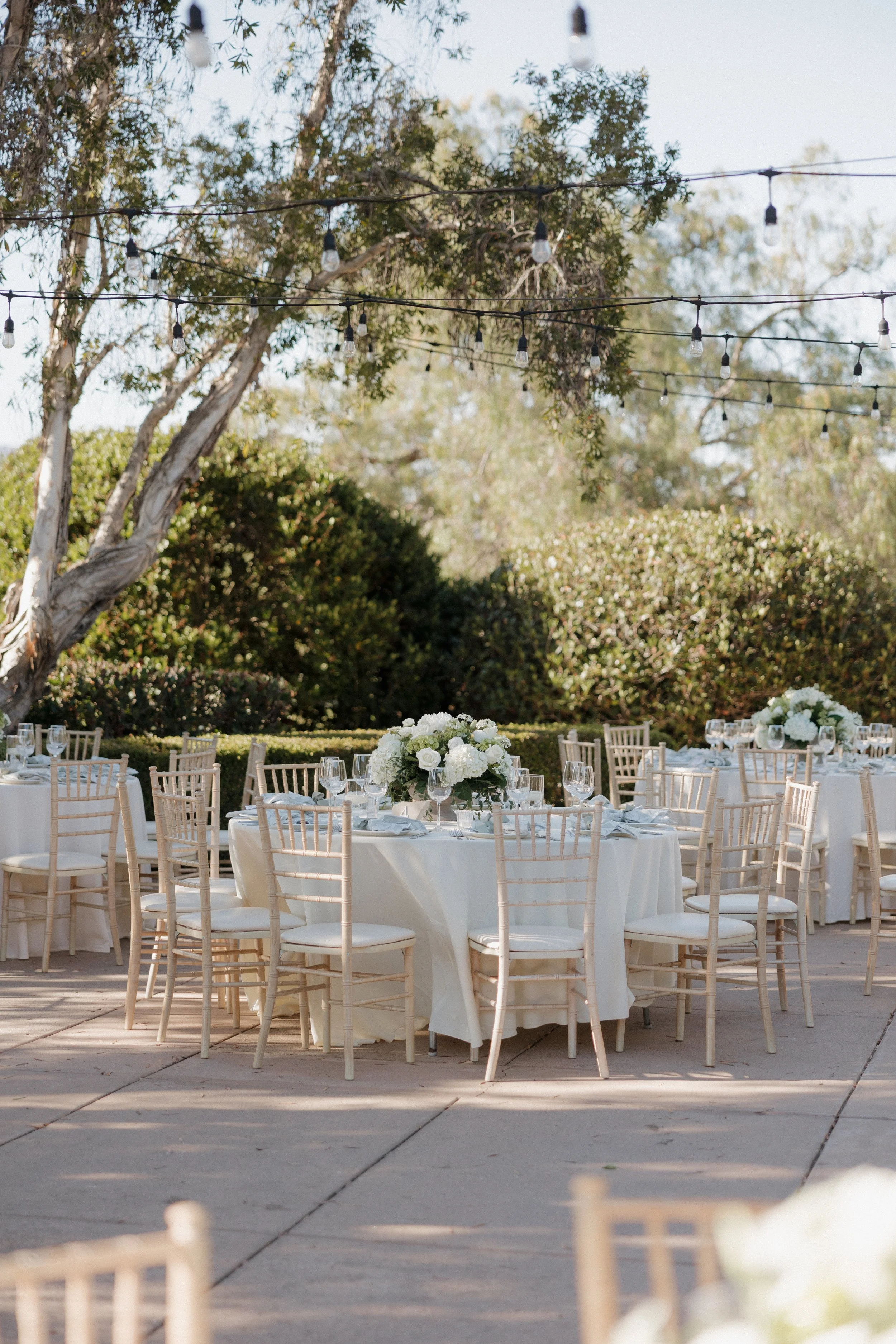 BrennaTrevorWedding-569.jpg