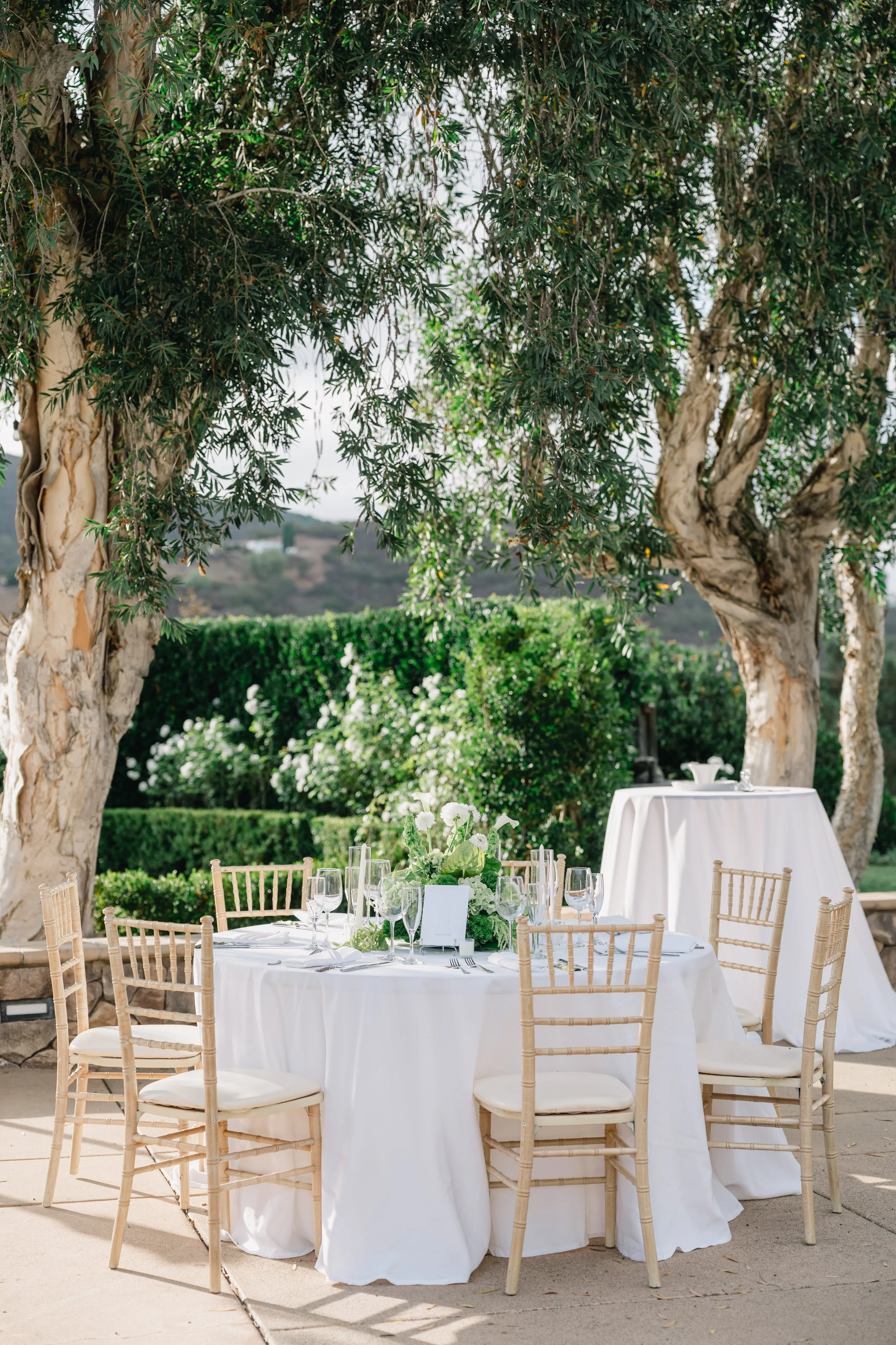 PerezWeddingTwinOaks-445.jpg