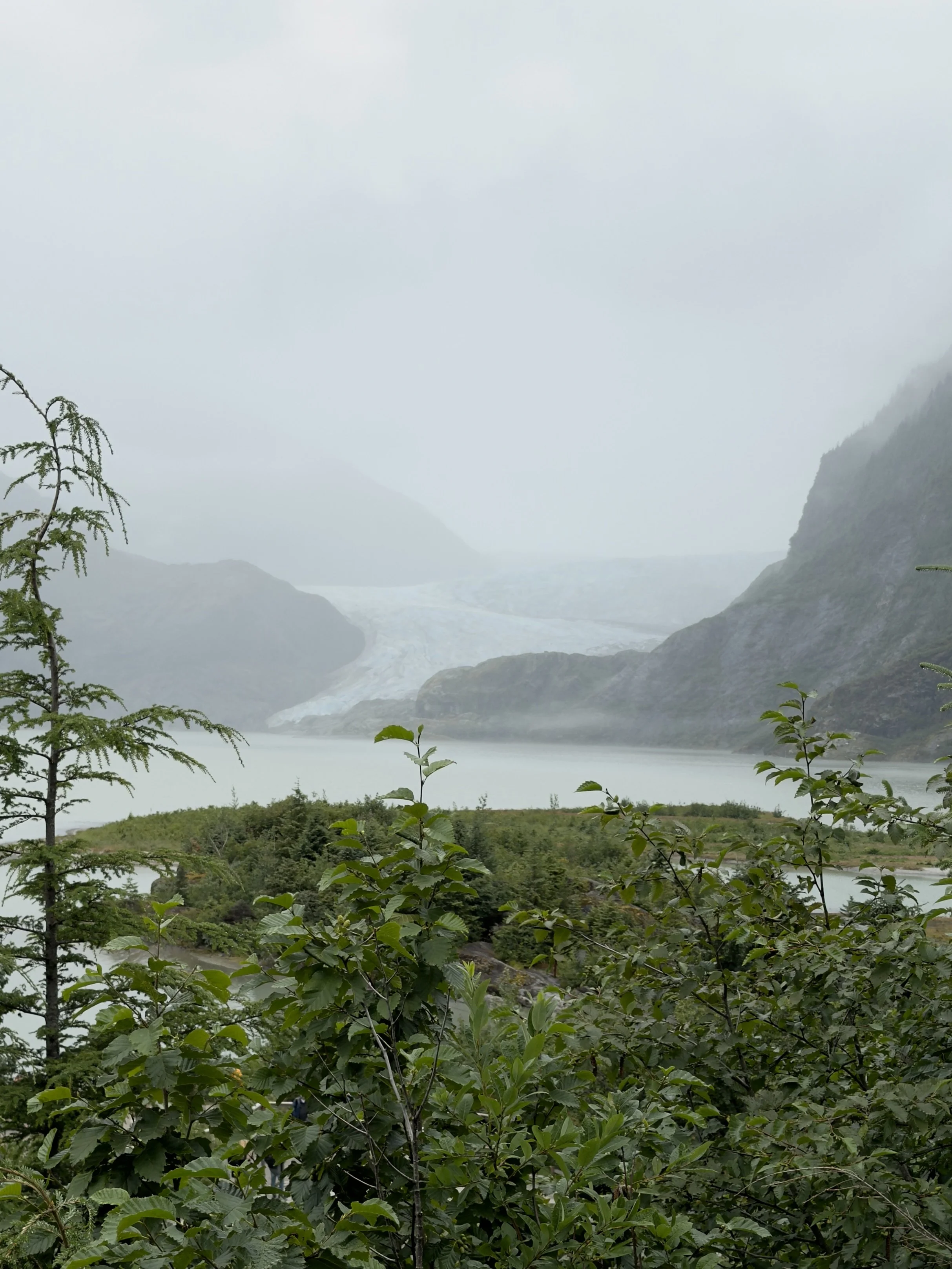  Mendenhall Glacier in Juneau, Alaska 