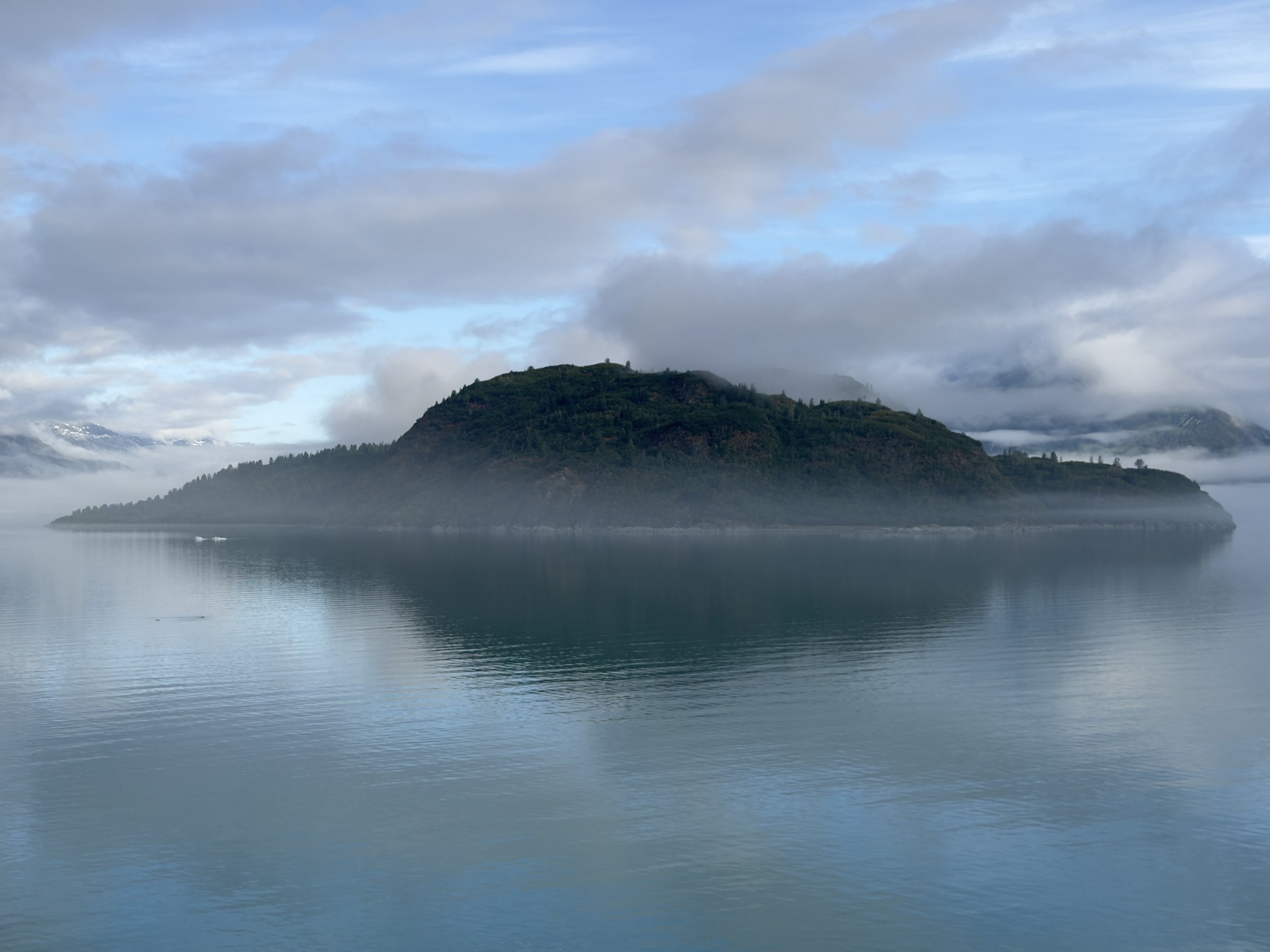  A larger island in Glacier Bay National Park 