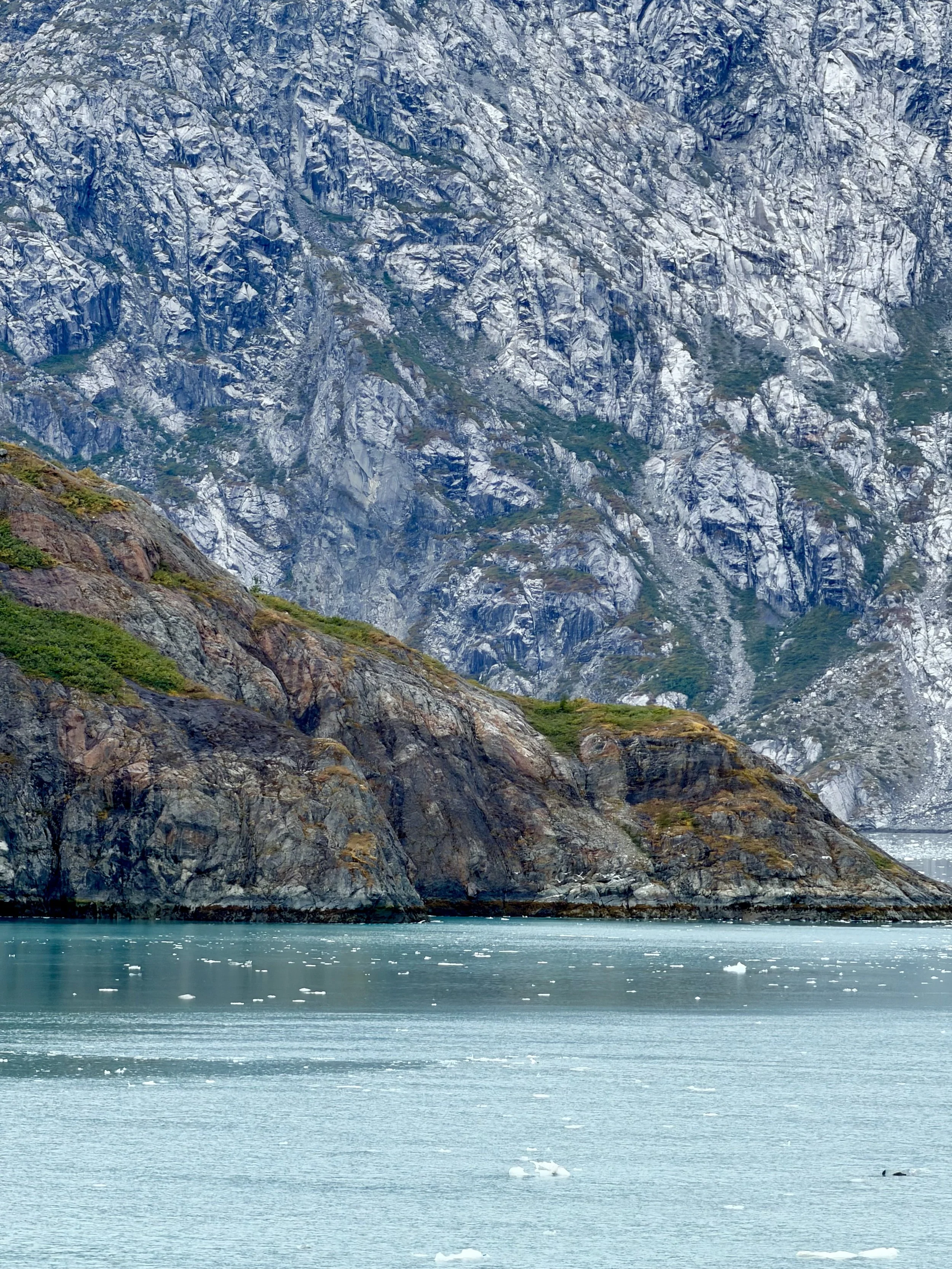  Heavy contrast of glacial carvings at Glacier Bay National Park 