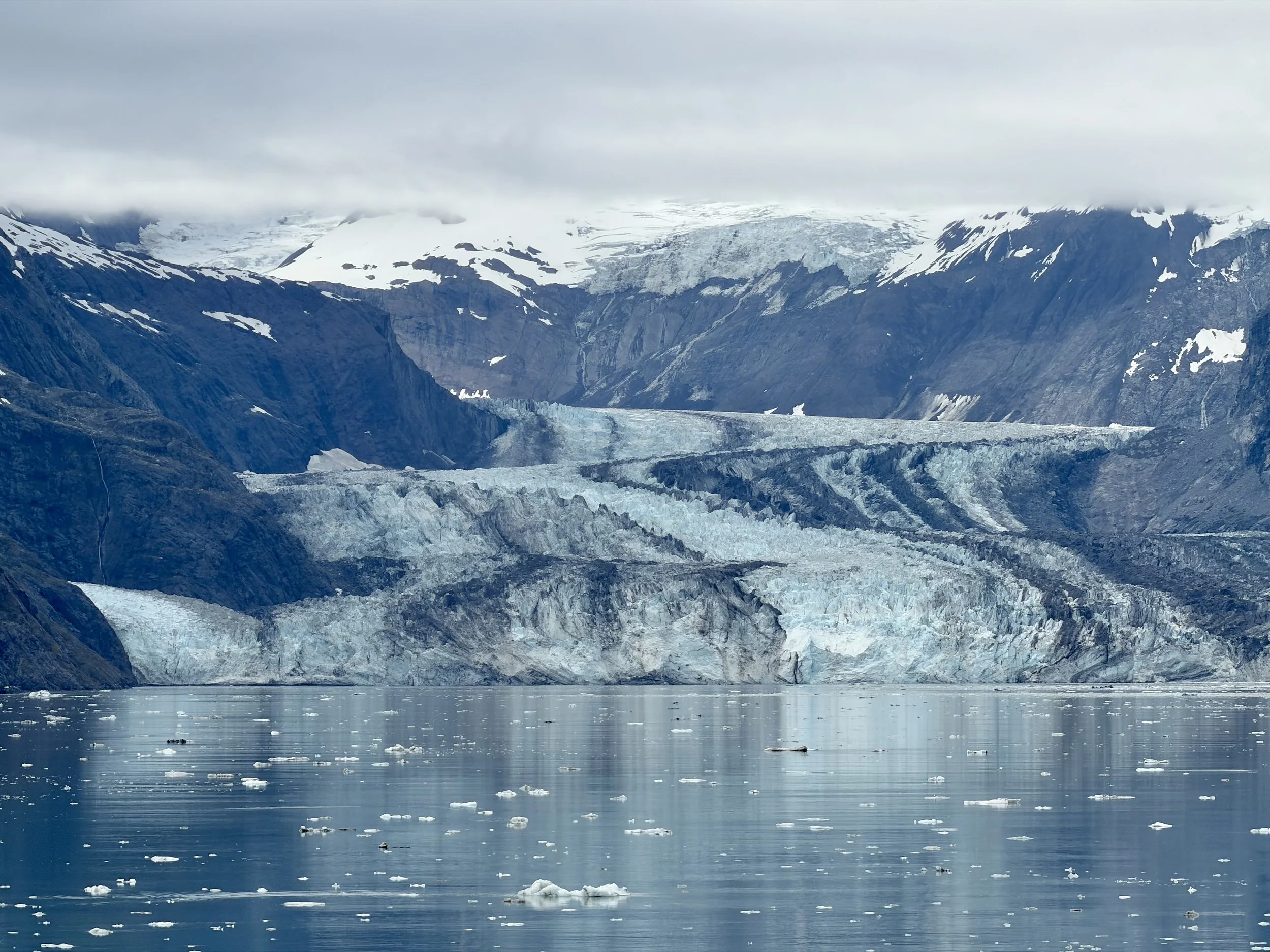  The massive John Hopkins glacier up close 