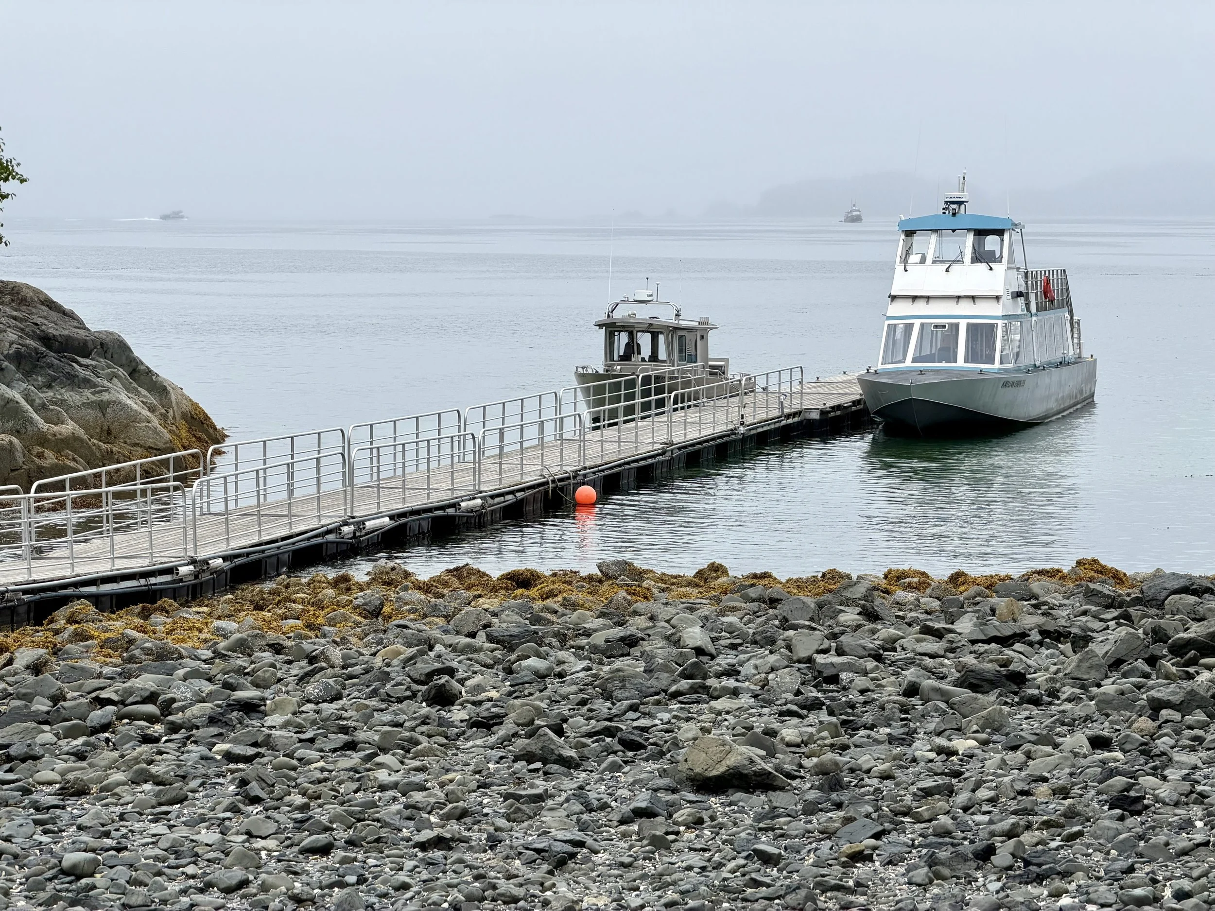  Our Wildlife Quest stops for brunch at Fin Island Lodge in Sitka, Alaska 