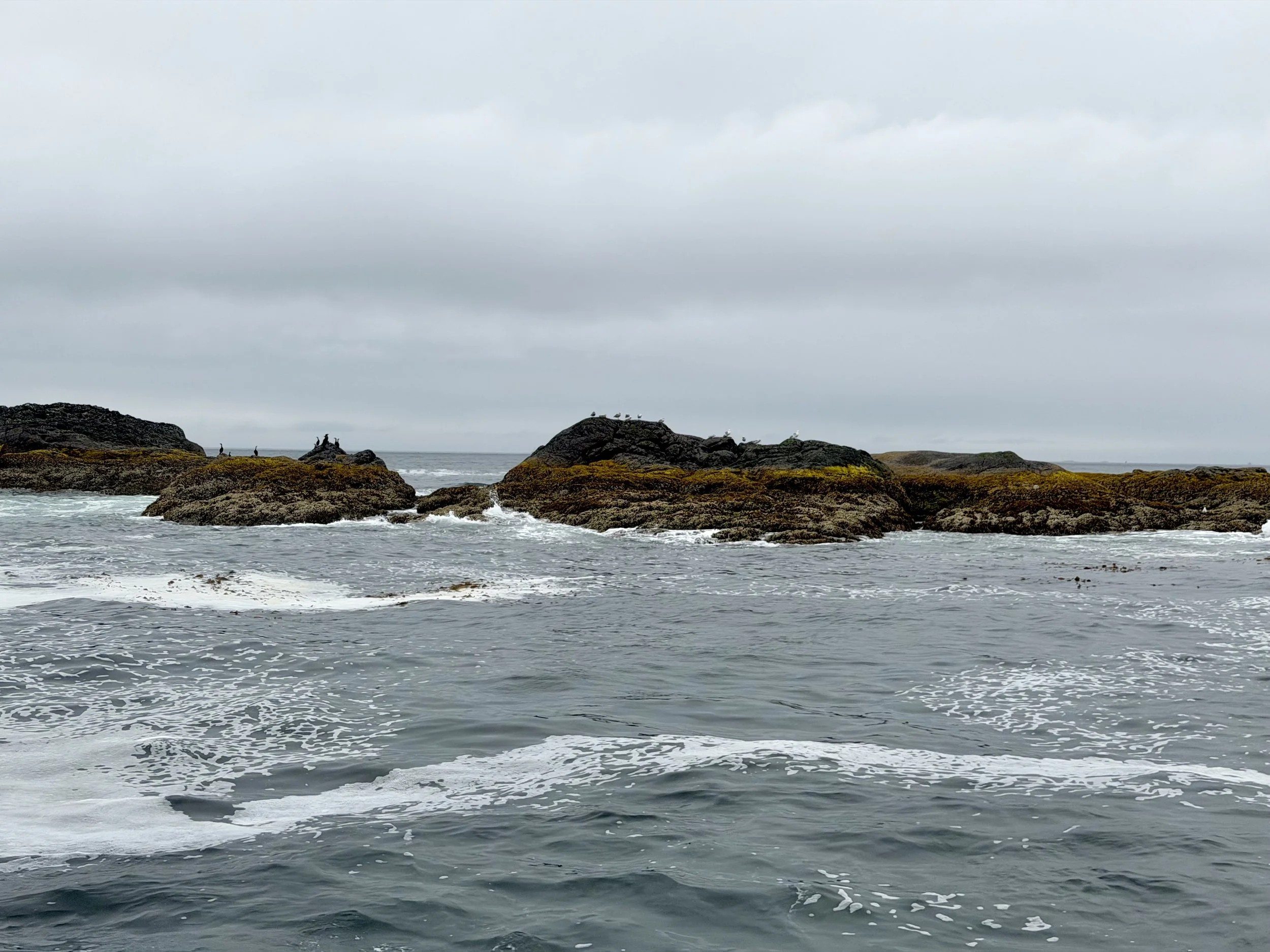  The Wildlife Quest begins at Sitka, Alaska 