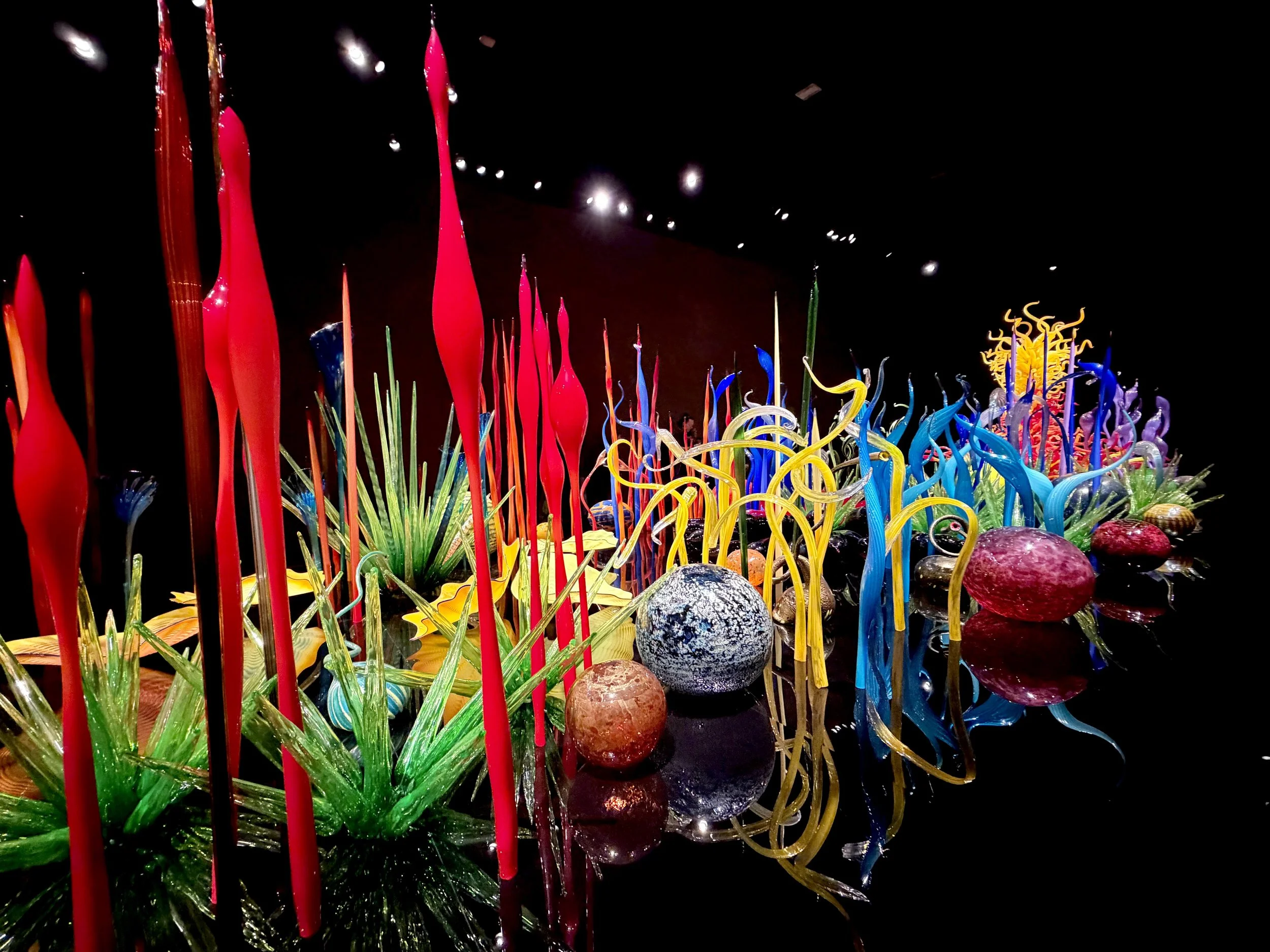  Beautiful blown glass display at the Dale Chihuly Museum  