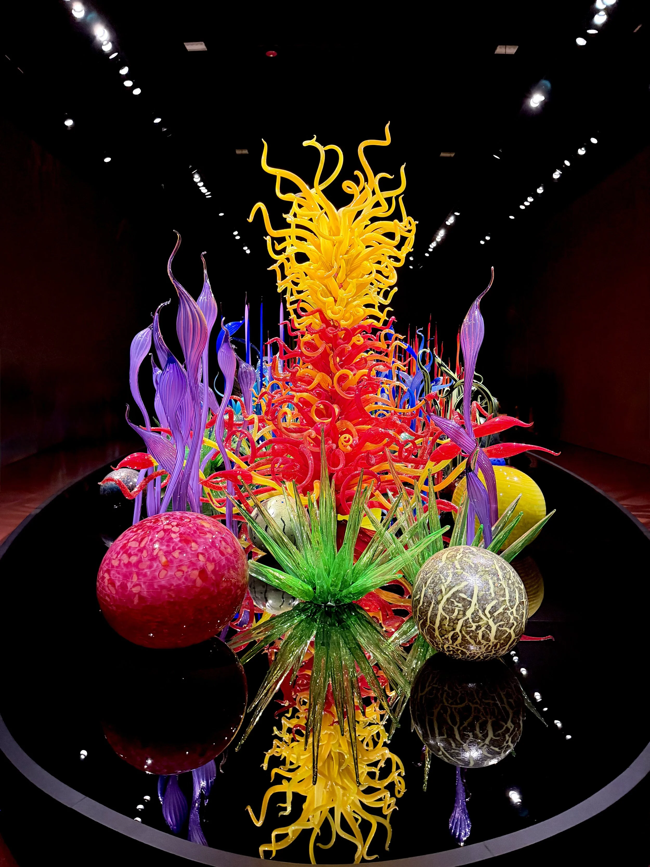  More amazing blown glass at the Dale Chihuly Museum 