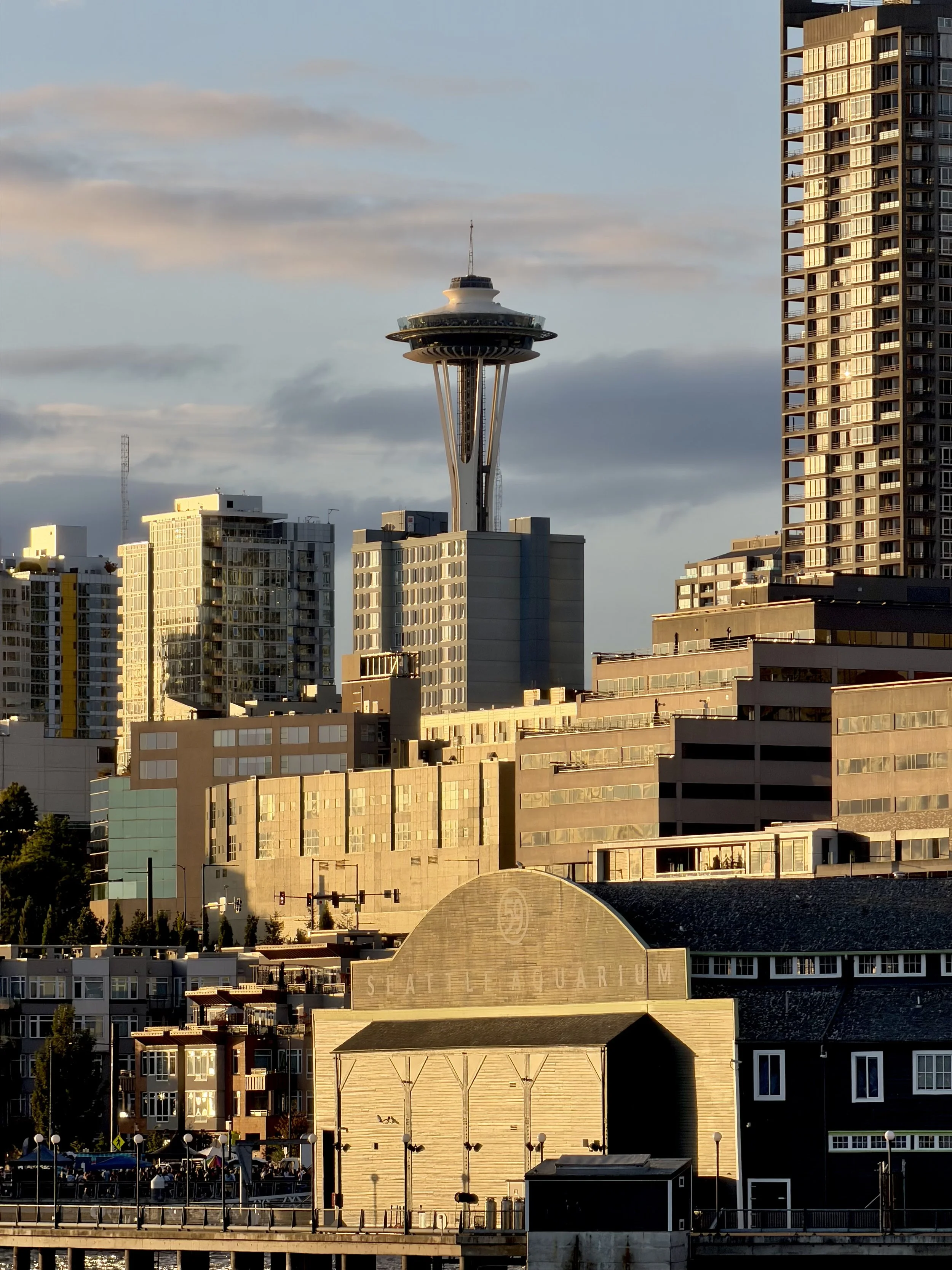  The Space Needle in the background of the skyline in Seattle, Washington 