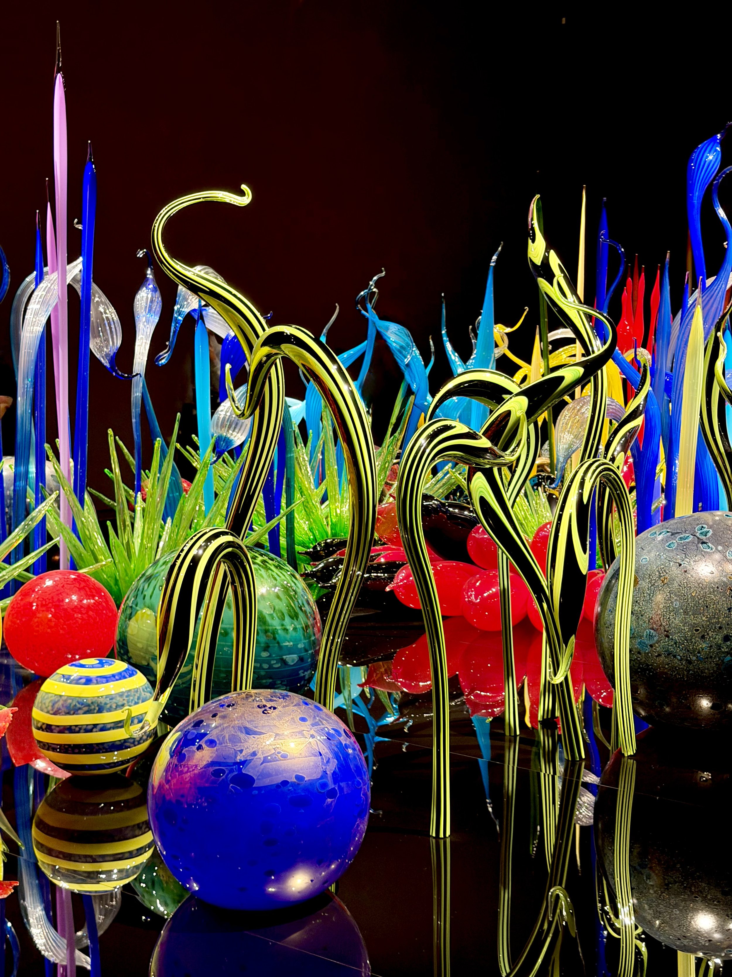  A closer look at some beautiful blown glass at the Dale Chihuly Museum in Seattle, Washington 