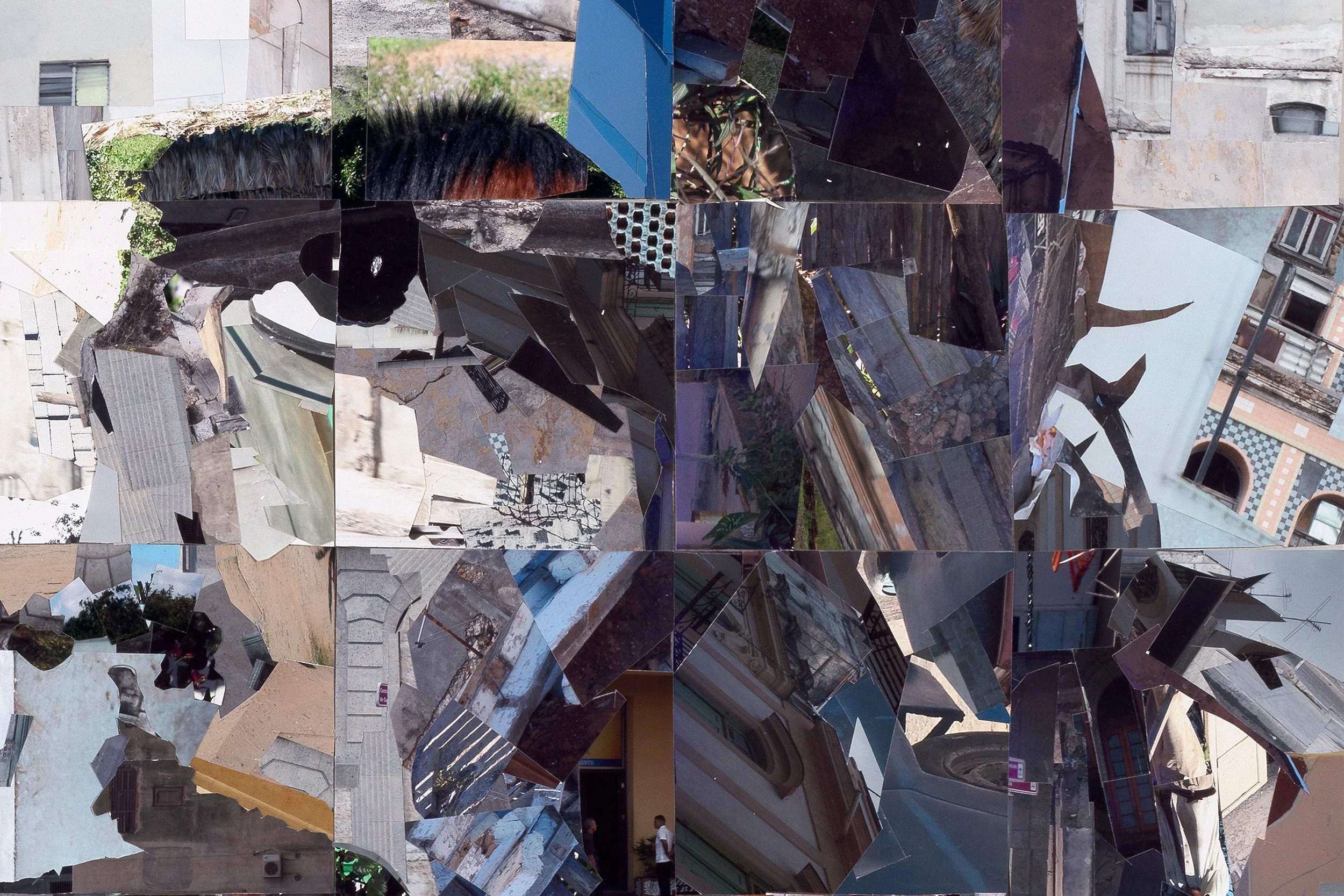 Che (detail), 2016
Photocollage, 42 x 54 in