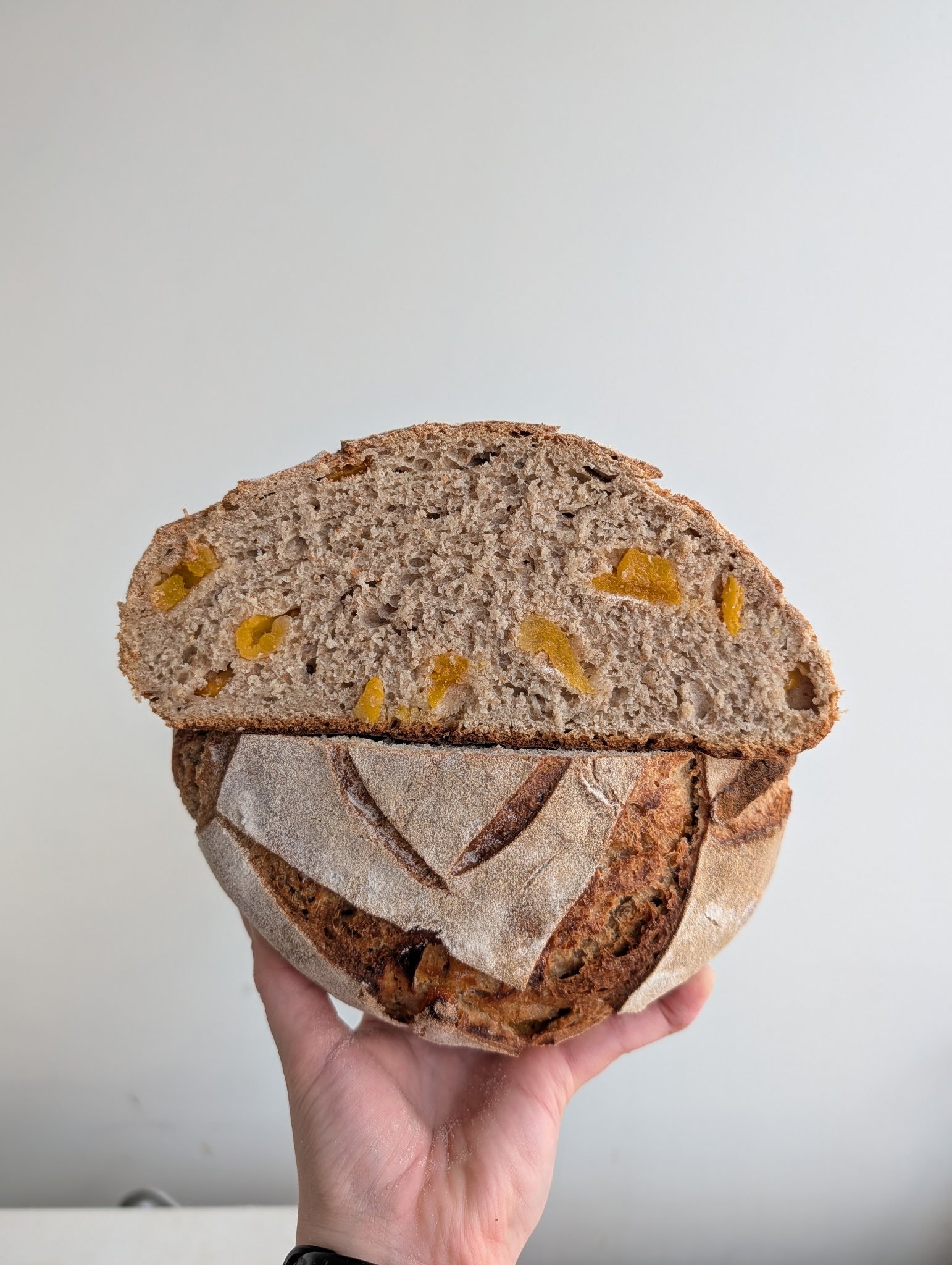 Apricot Rye Sourdough