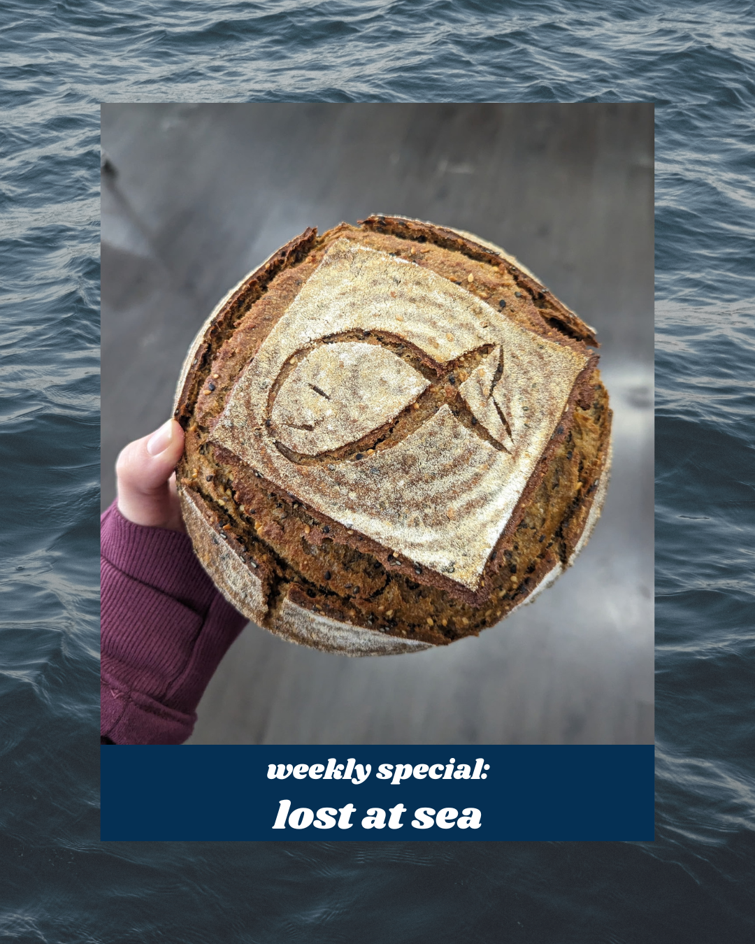 Weekly special: Lost at Sea (kelp&tamari)