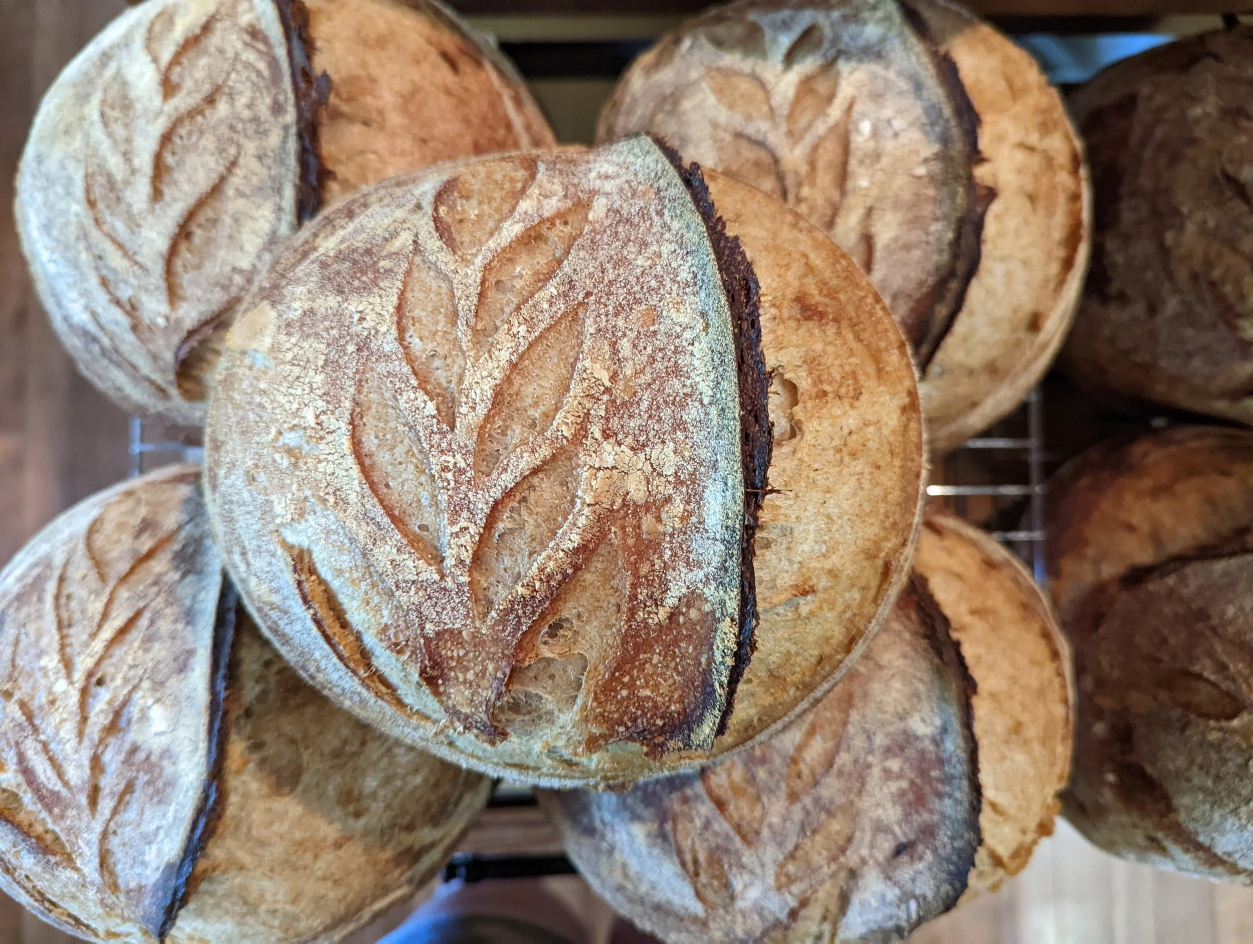 Country White Sourdough