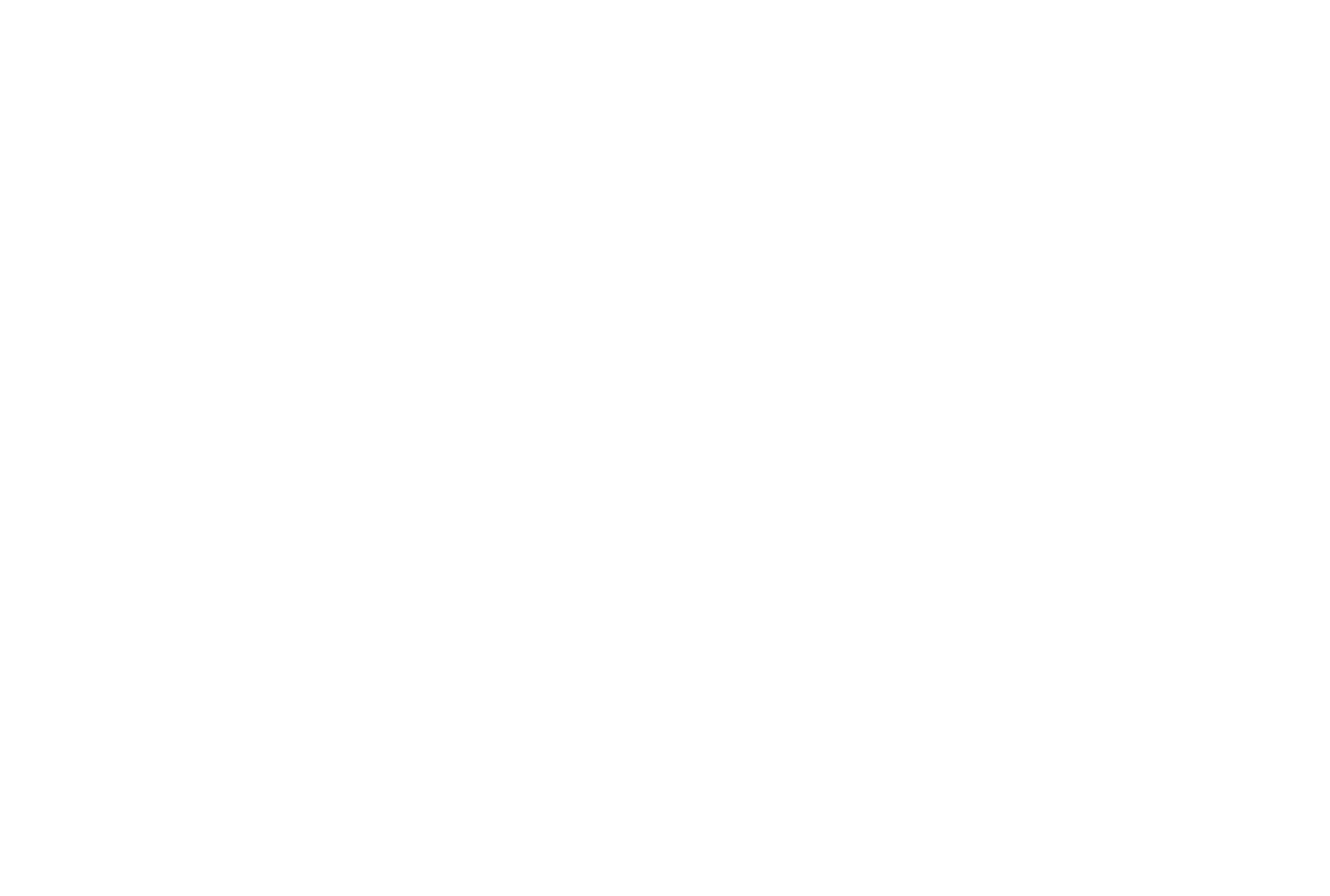 Blues Singer Equestrian, LLC