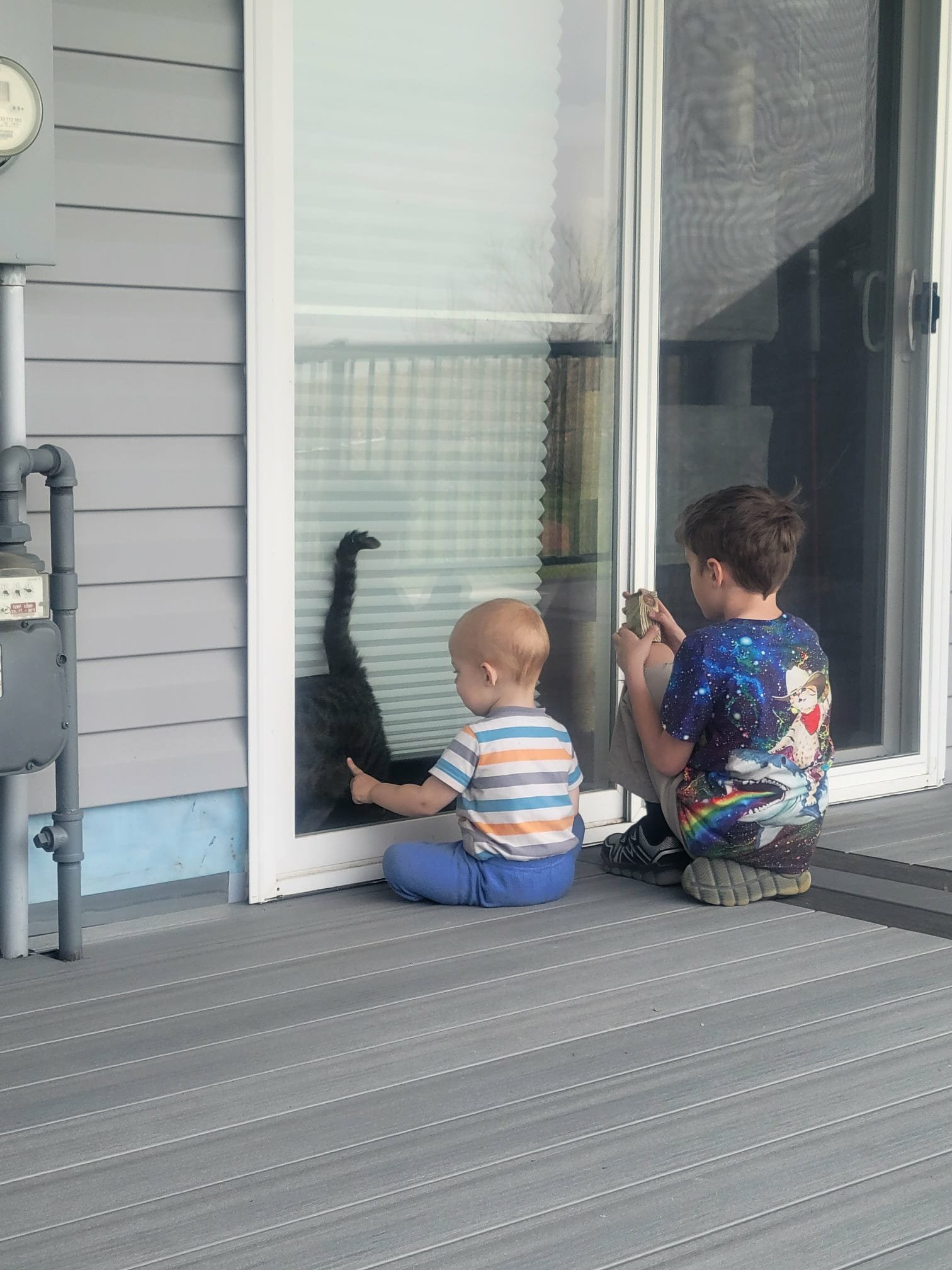 Two young boys sitting on a porch and watching a black cat through a sliding glass door.