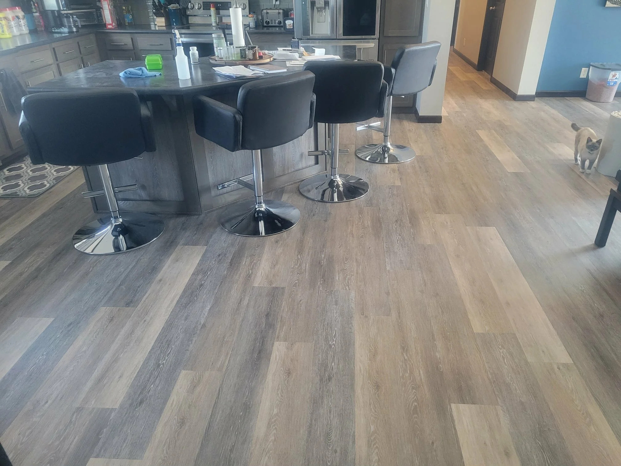 Modern kitchen with gray cabinets and a large island. Four black swivel bar stools with chrome bases are arranged around the island. The countertop has various items, including bottles, paper towels, and papers. A small dog is standing on the wooden floor near the right side of the image, and a trash can is visible in the background.
