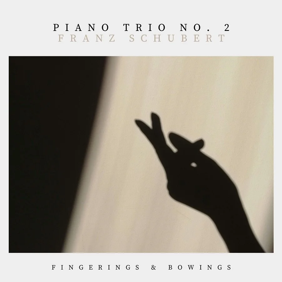 Schubert&rsquo;s Piano Trio No. 2 is one of those pieces that looks simple until you start living inside it.

I&rsquo;ve just uploaded my full edition with complete fingerings and bowings to Patreon, together with my entire sheet music library worth 