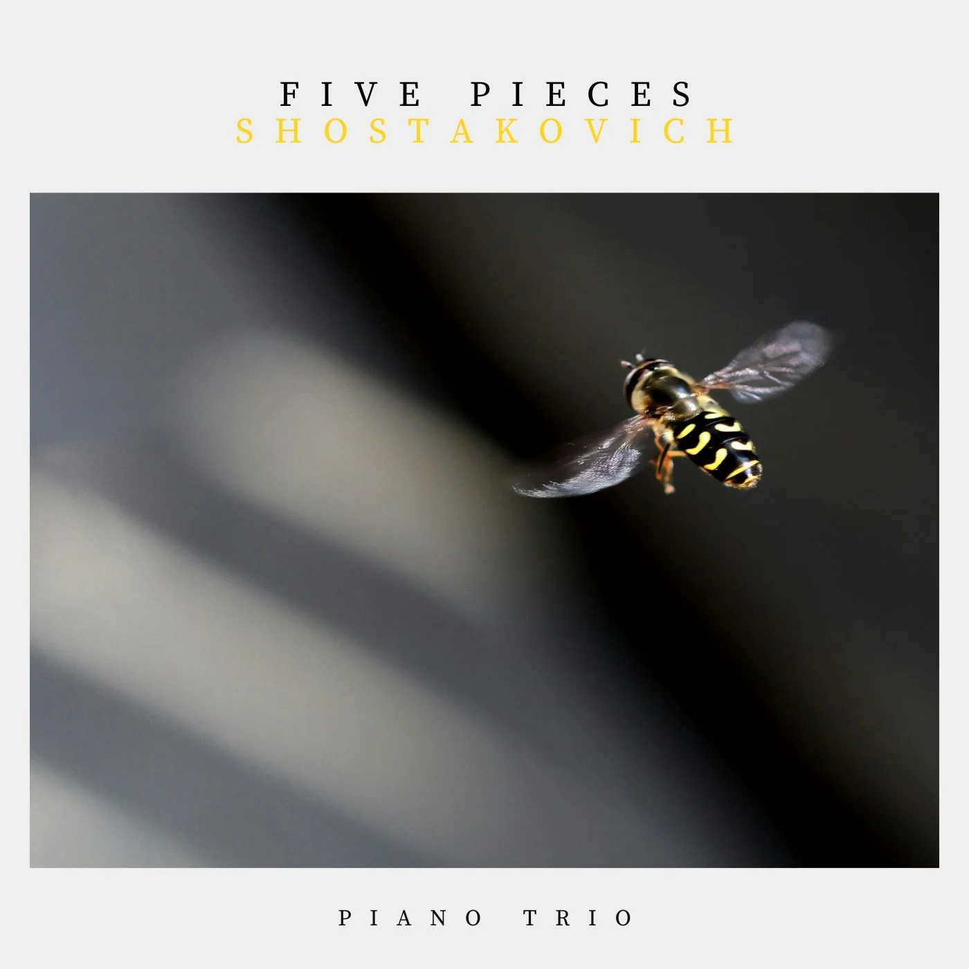 This Five Pieces for Piano Trio brings together selected movements by Dmitri Shostakovich, originally drawn from his ballet, theatre, and film music. Arranged for violin, cello, and piano, you can now play these characterful miniatures that combine w