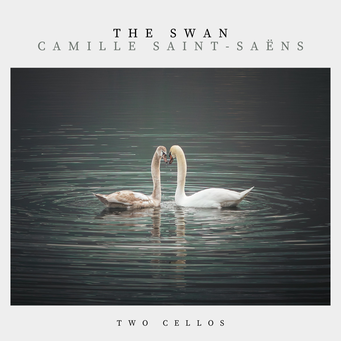 Camille Saint-Saëns: The Swan for Cello Duet