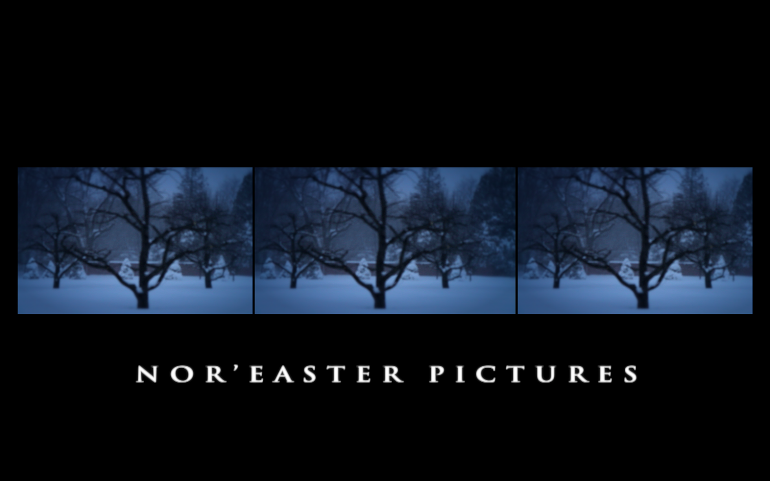 Nor'easter Pictures LLC
