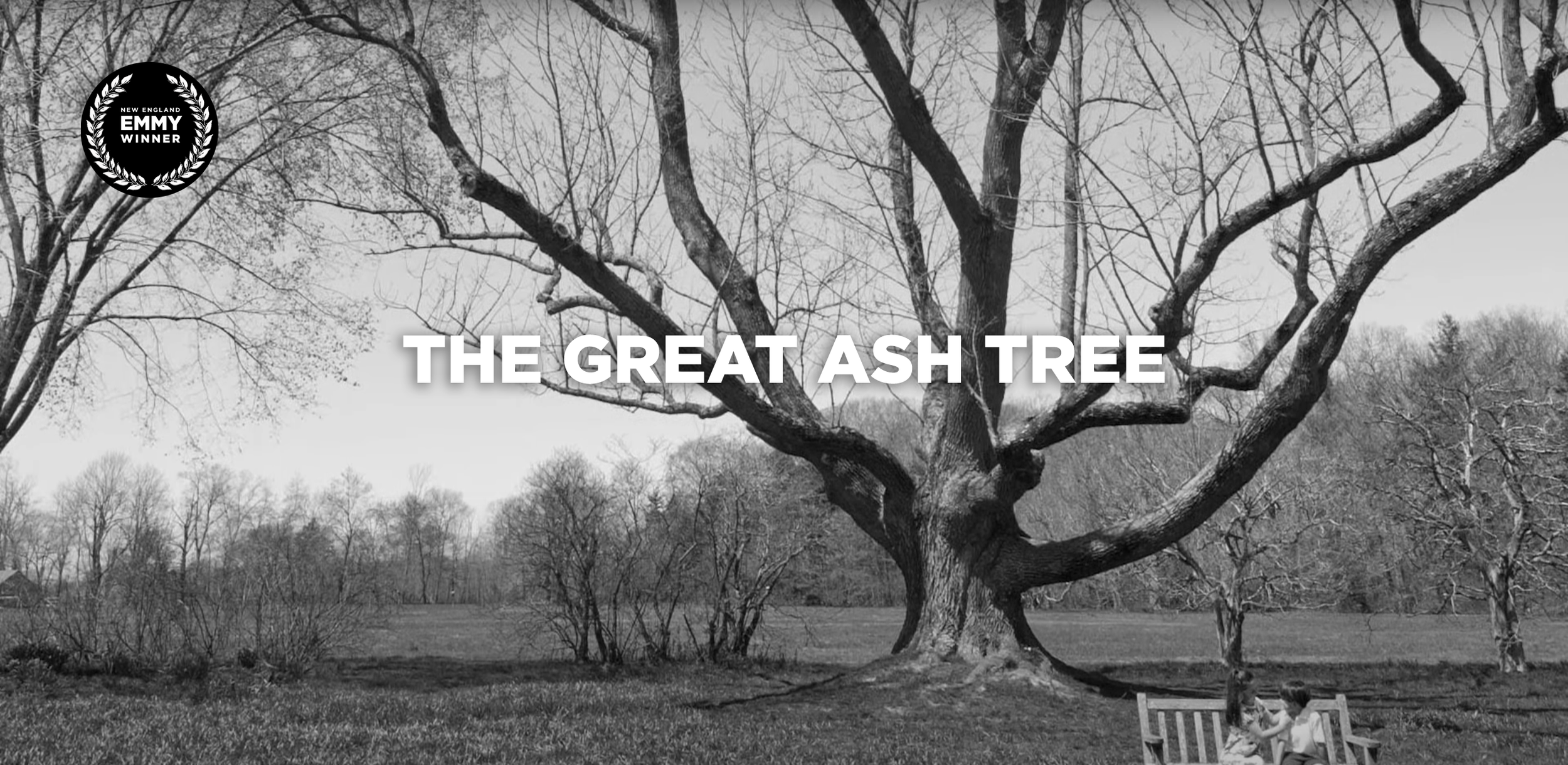 The Great Ash Tree