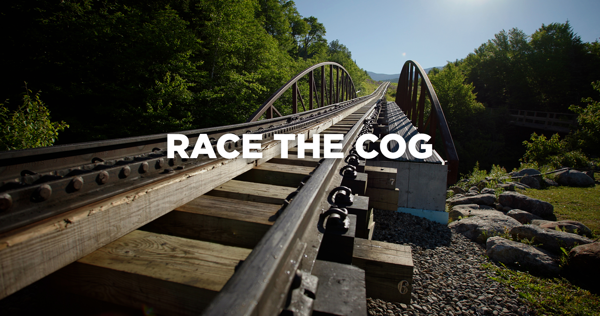 Race the Cog