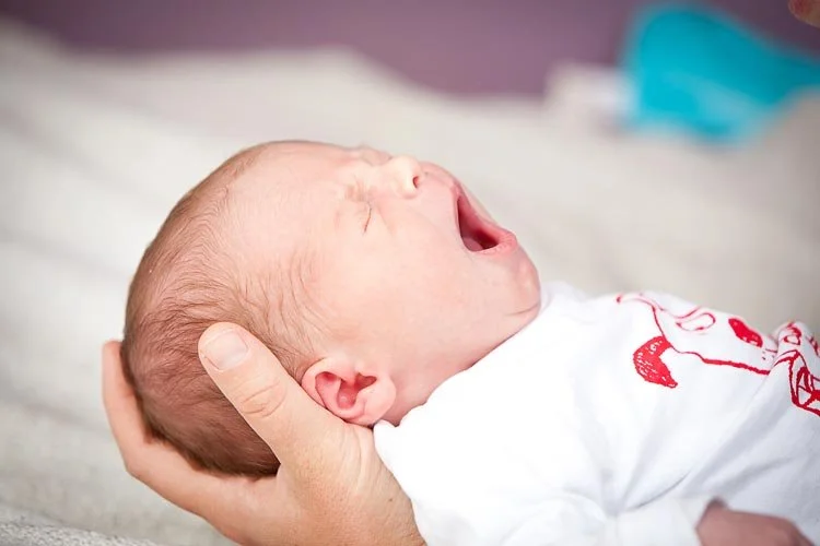 Séance photo de Naissance de Nael