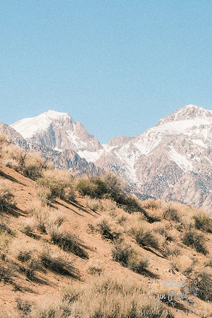 Photographie n°34 | "Rockies"