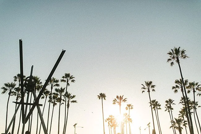 Photographie n°38 | "Venice"