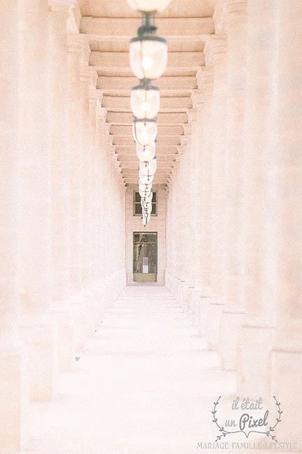 Photographie n°22 | "Royal"