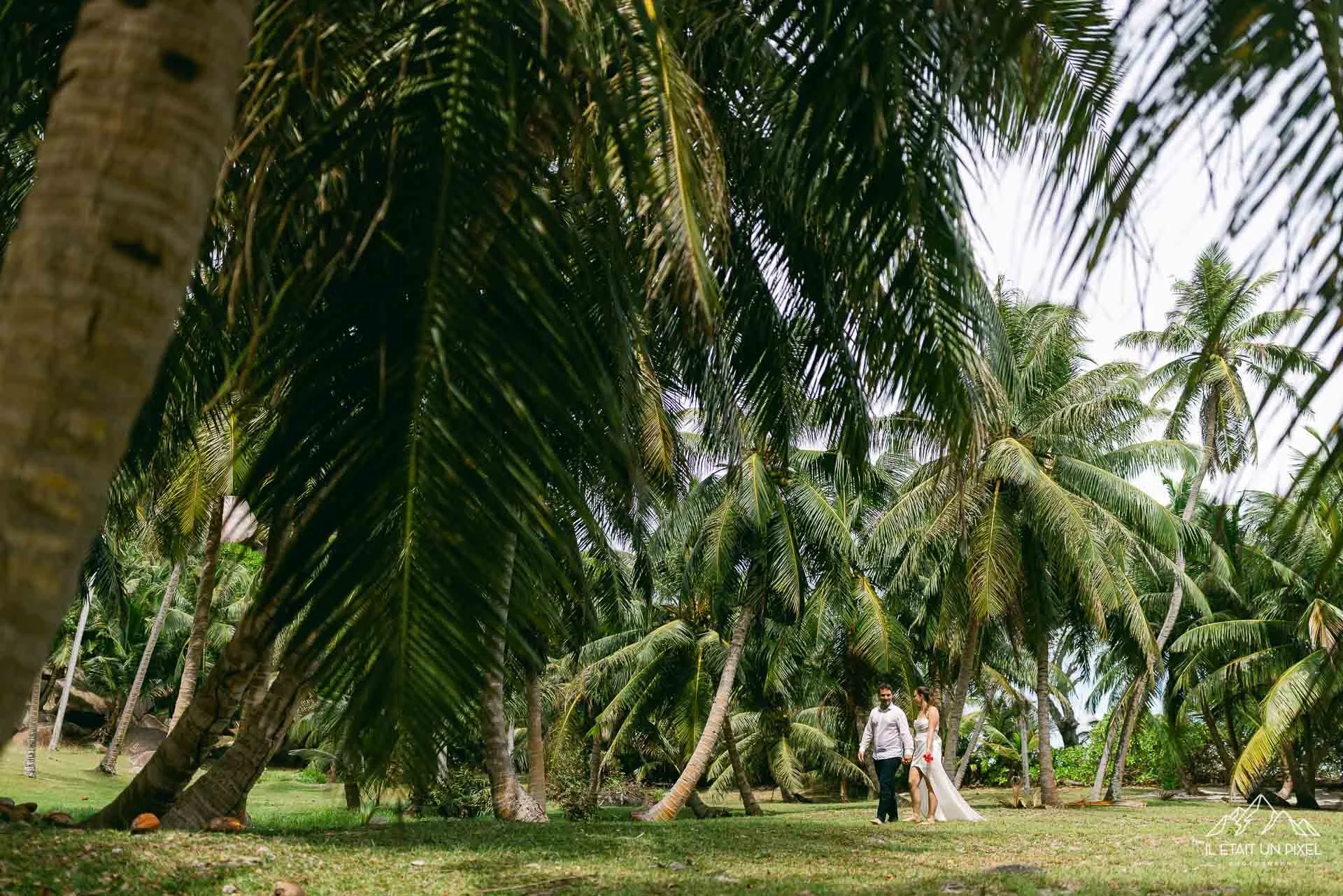iletaitunpixel-jeremie-sangare-destination-adventure-elopement-wedding-and-honeymoon-photographer-seychelles-underwater-m169-pf43-179-1920px.jpg