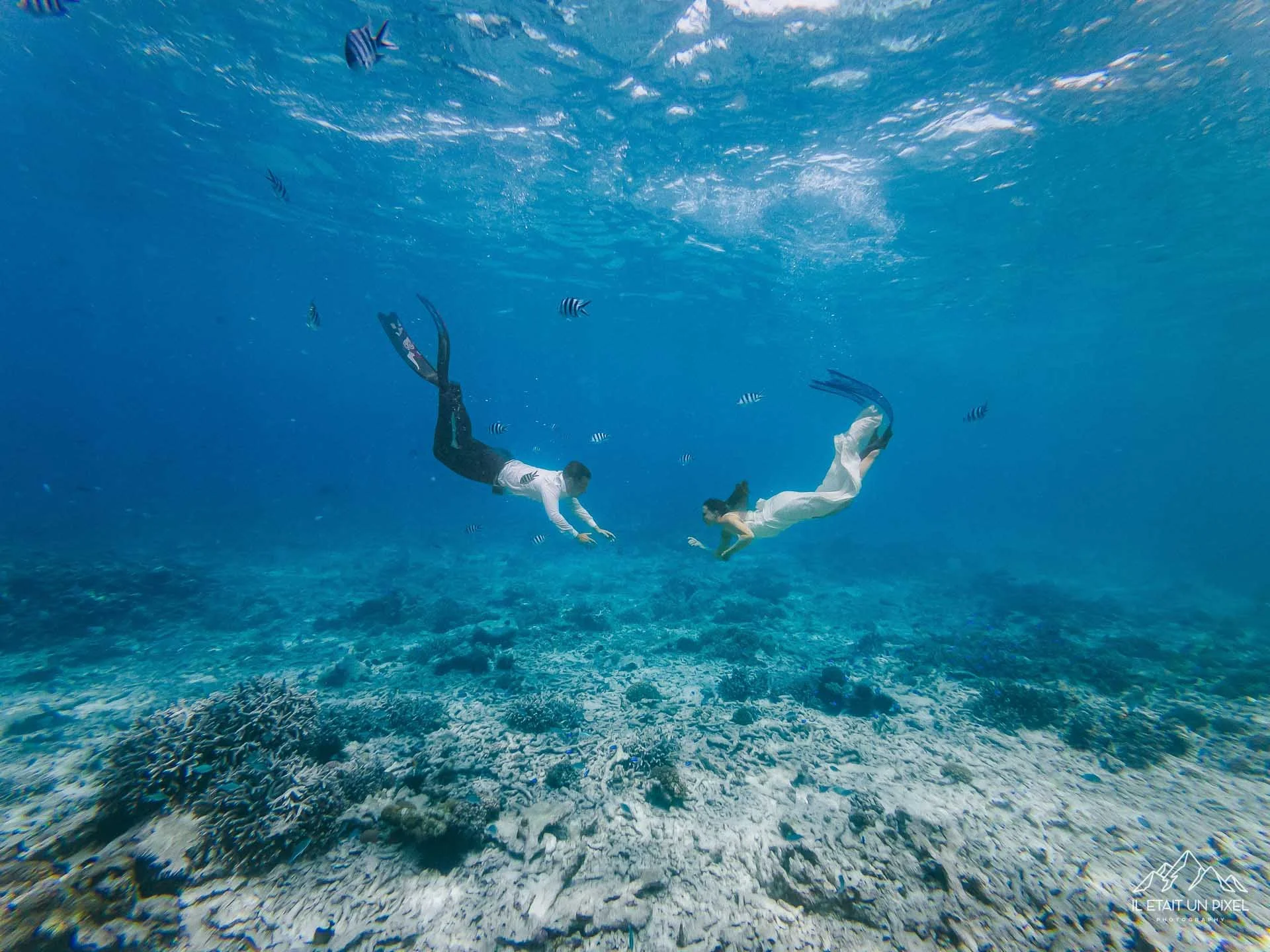 iletaitunpixel-jeremie-sangare-destination-adventure-elopement-wedding-and-honeymoon-photographer-seychelles-underwater-m169-pf50-250-1920px.jpg