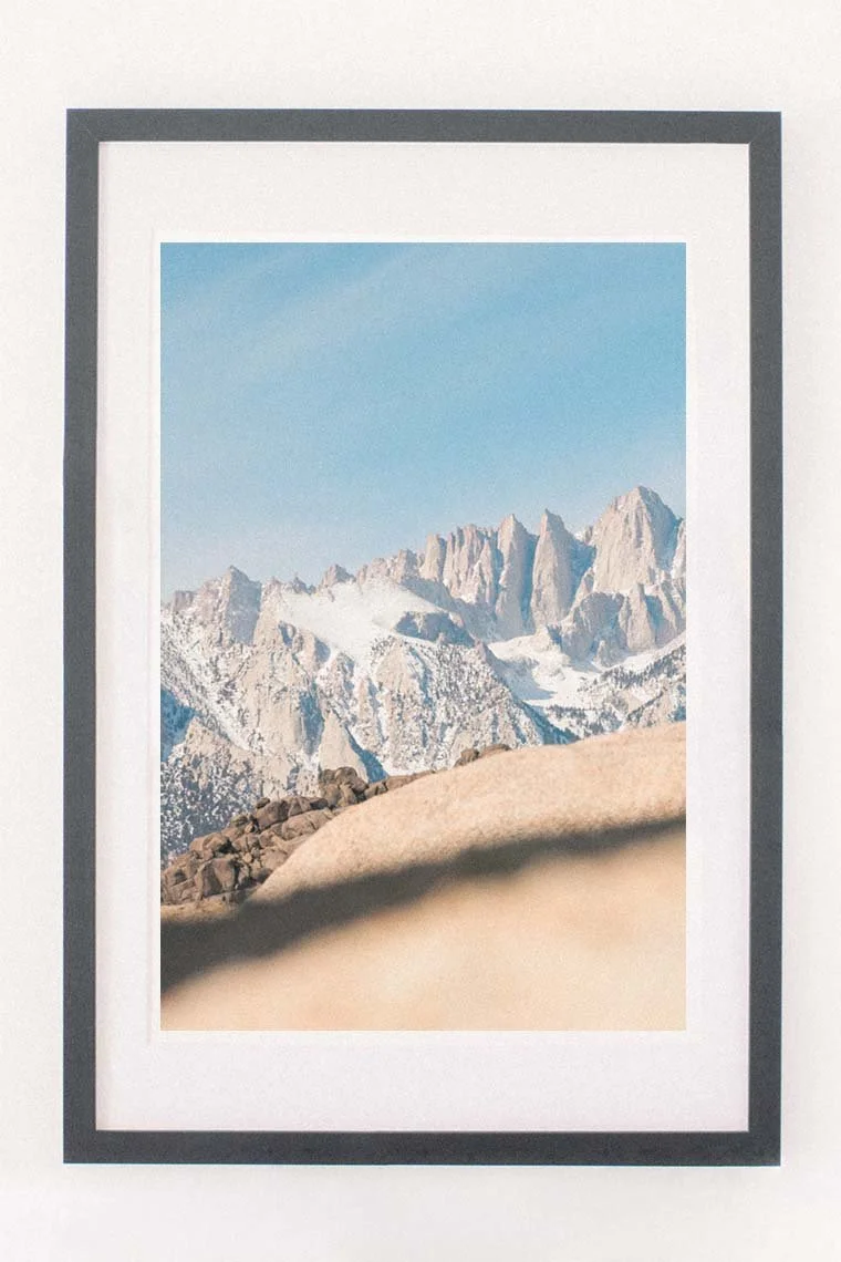 Photographie n°36 | "Whitney"