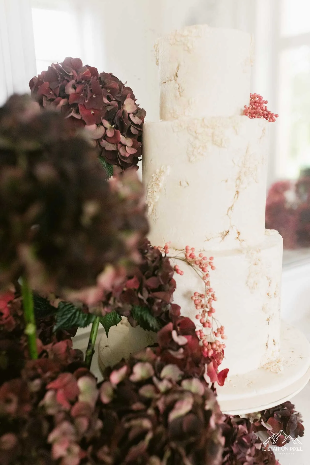 iletaitunpixel-jeremie-sangare-editorial-wedding-photographer-france-paris-domaine-brandois-tatler--189-1920px.jpg