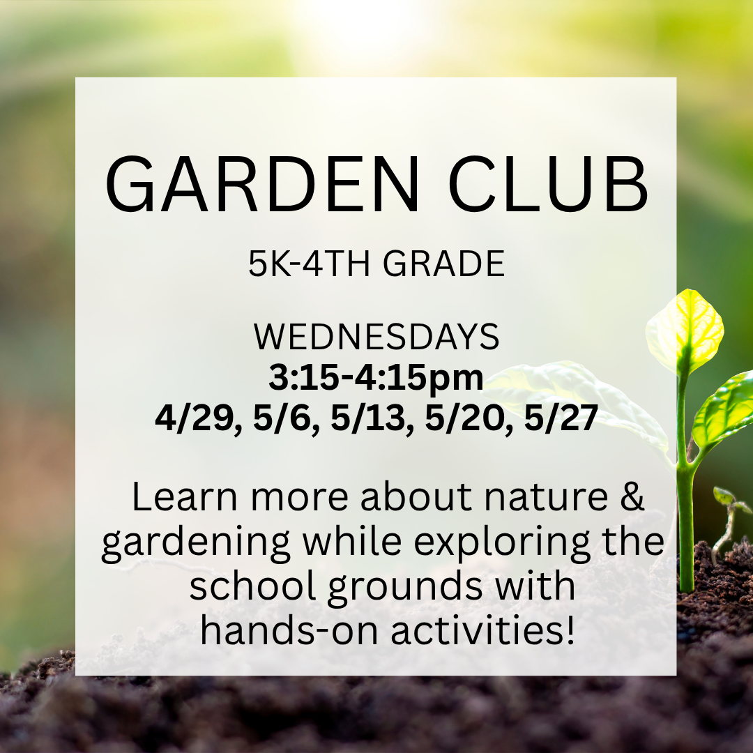 SEF After School Clubs - 1.PNG