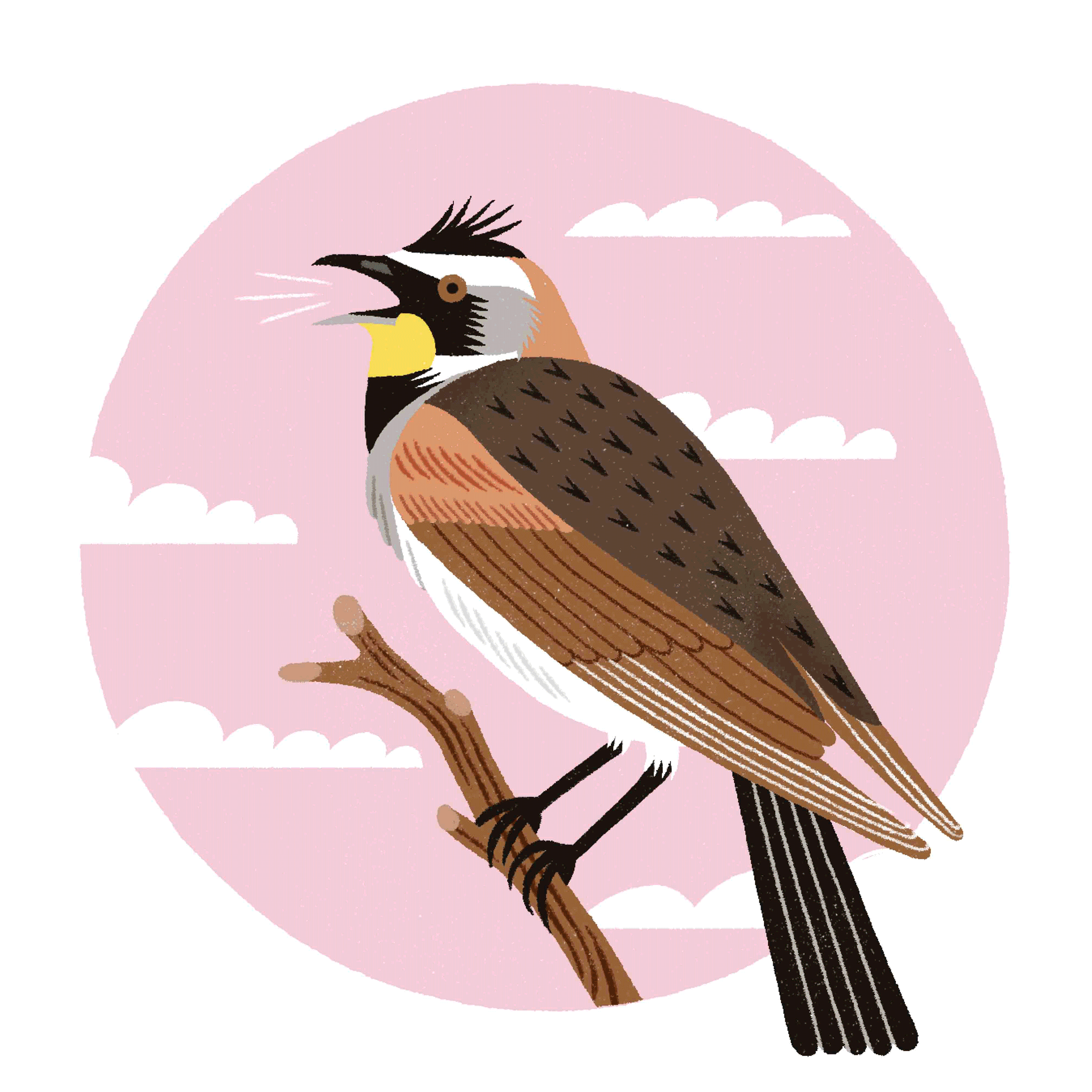 What's Your Chronotype? — The New York Times