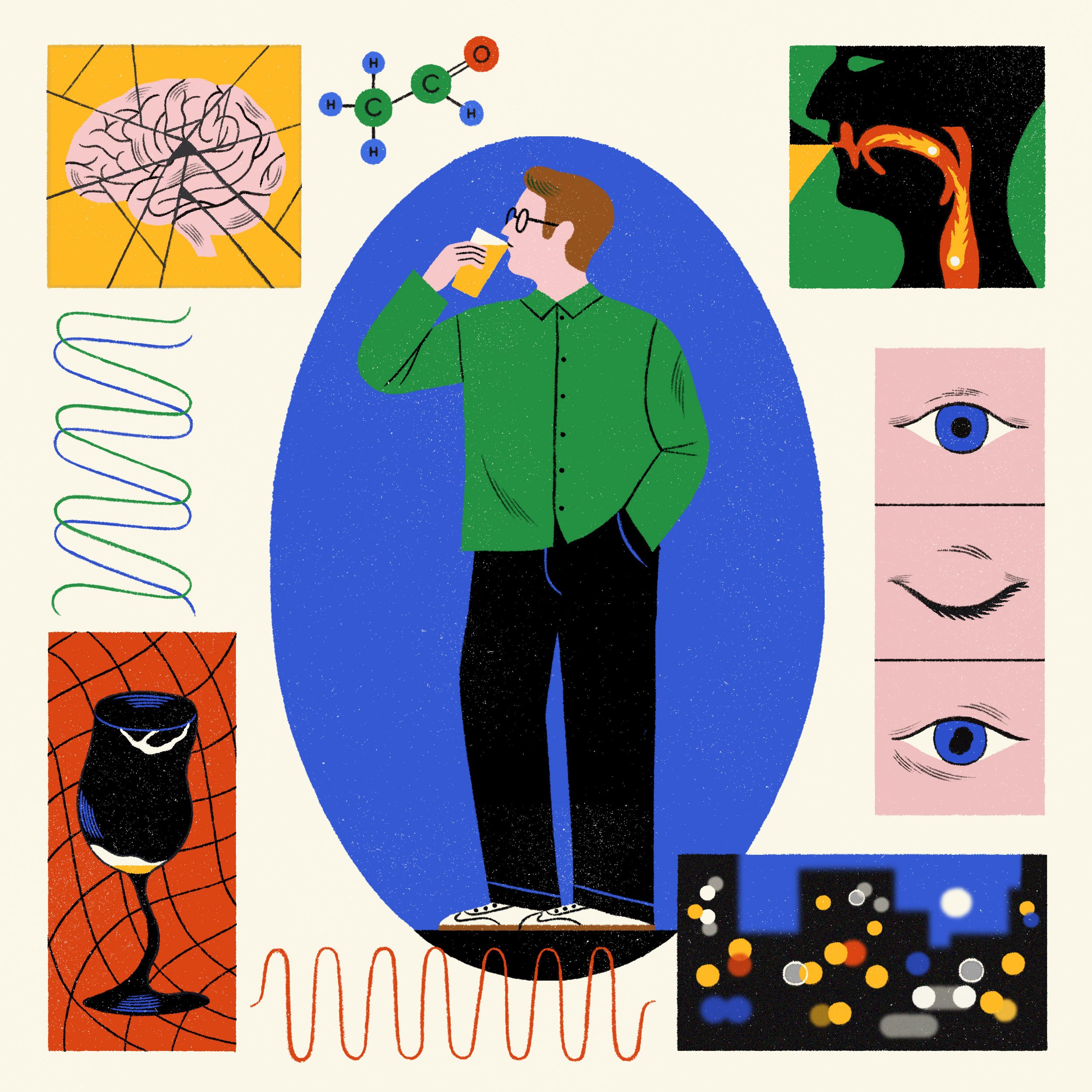 What Alcohol does to your body? — The New York Times