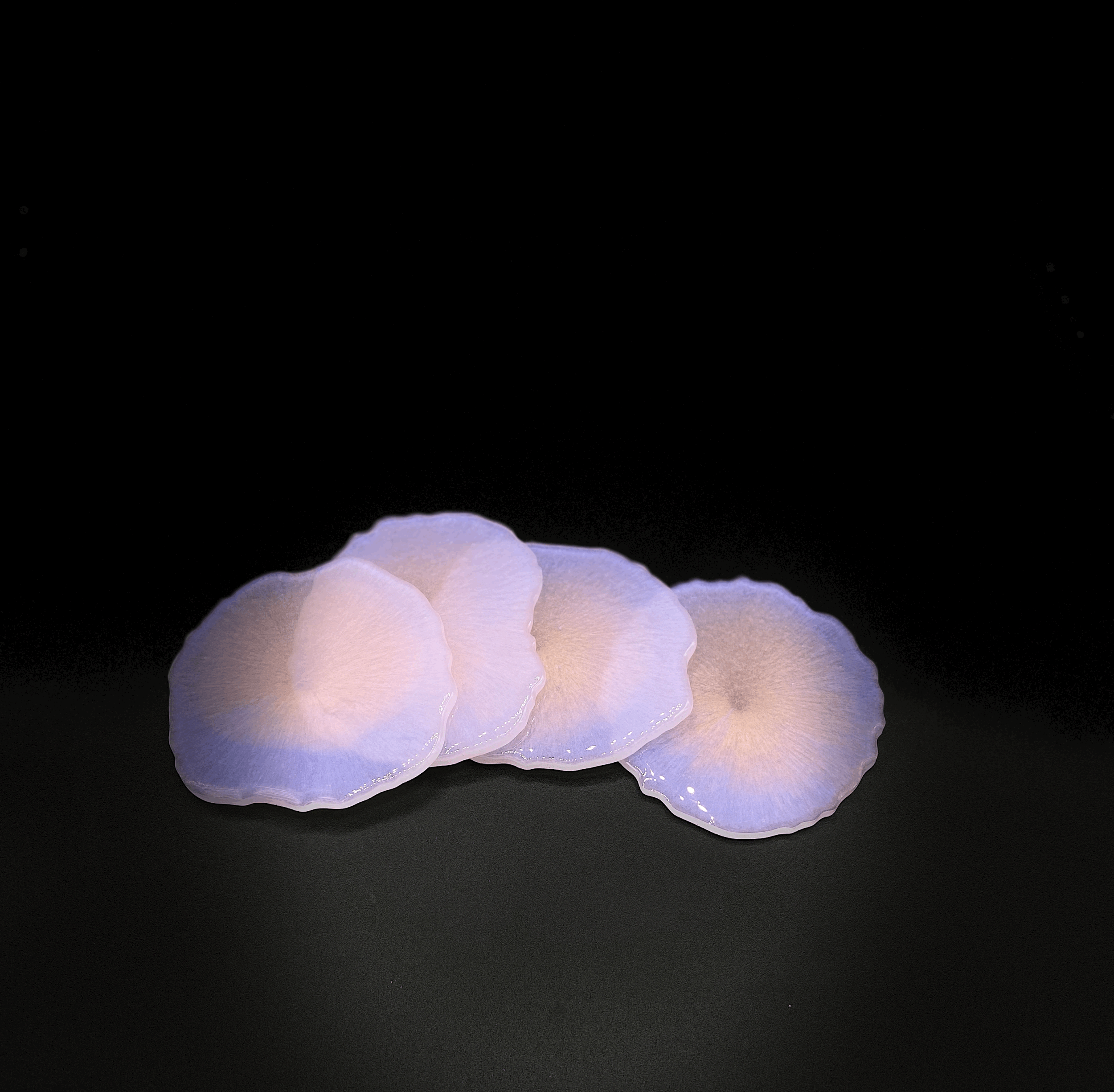 tempImageQAIu5N.gif