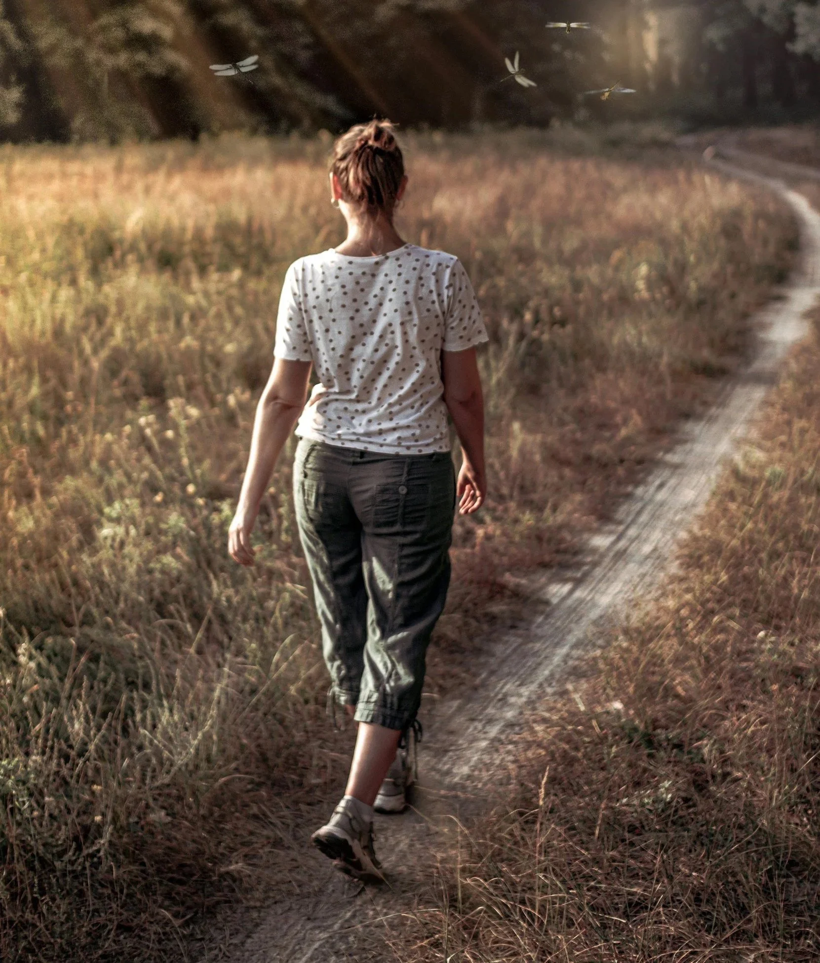 Person walking along a path through a grassy meadow with dragonflies overhead