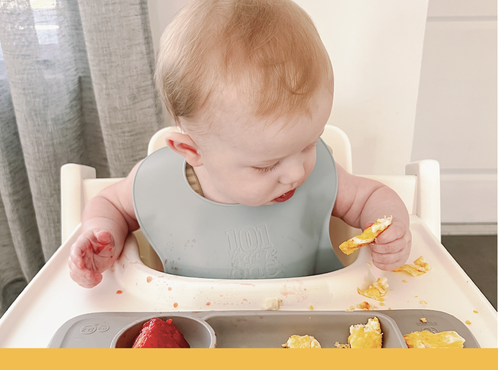 Baby Led Weaning (BLW) Starting Solids Program on Instagram: Every baby's  starting solids journey is UNIQUE to them. The 101 before one program will  teach you to how confidently introduce 101+ foods