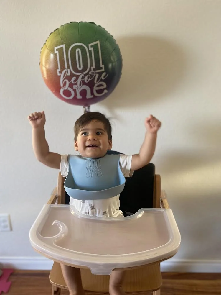 What a Panel of Pediatric Experts Think about the Best Highchairs on the Market