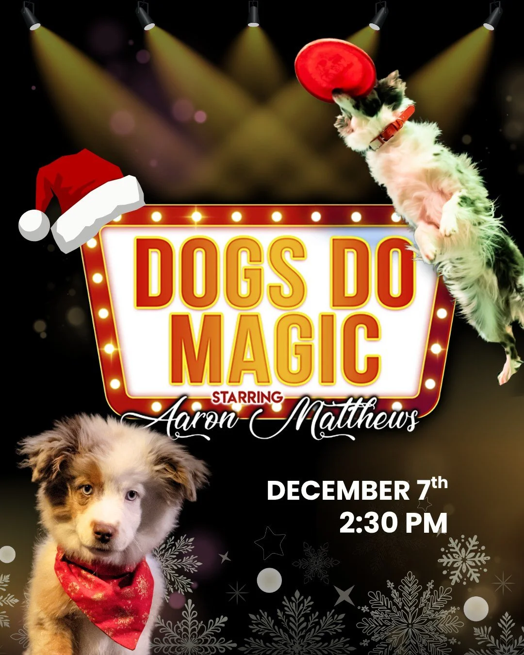 It&rsquo;s paws-itively magical! 🐶✨ 
Dogs Do Magic: A Canine Christmas stars magician Aaron Matthews and his talented team of performing pups for a show the whole family will love!

📅 December 7 @ 2:30PM
🎟 Tickets on sale: Visit our website 'What'