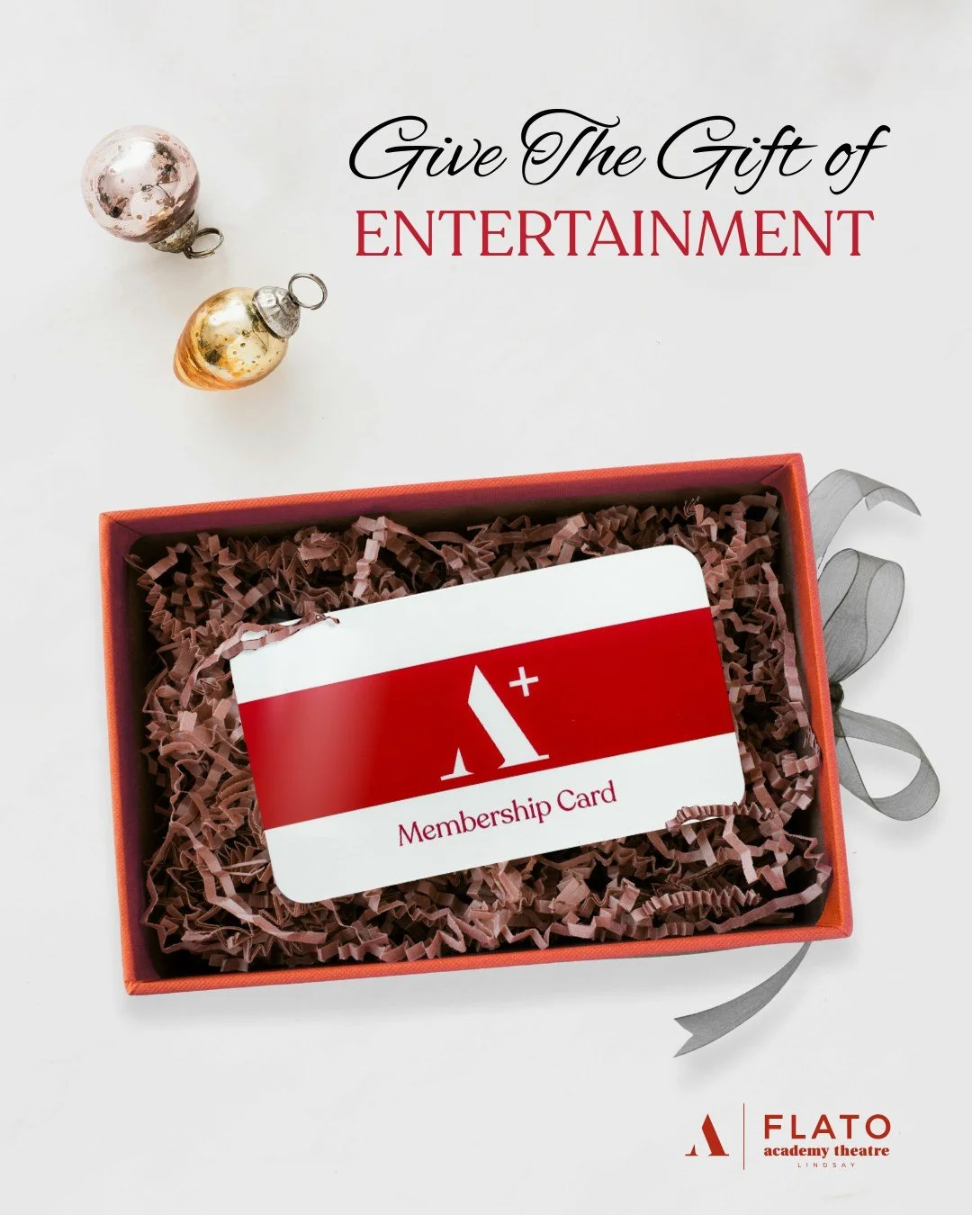 Make holiday gifting extra special! ✨🎁
Treat someone you love to a year of shows, perks and unforgettable memories. 

Visit our 'Membership' page for more details. Link in Bio🔗

 #flatoacademytheatre #KawarthaLakes #memberperks  #membership #giftgi