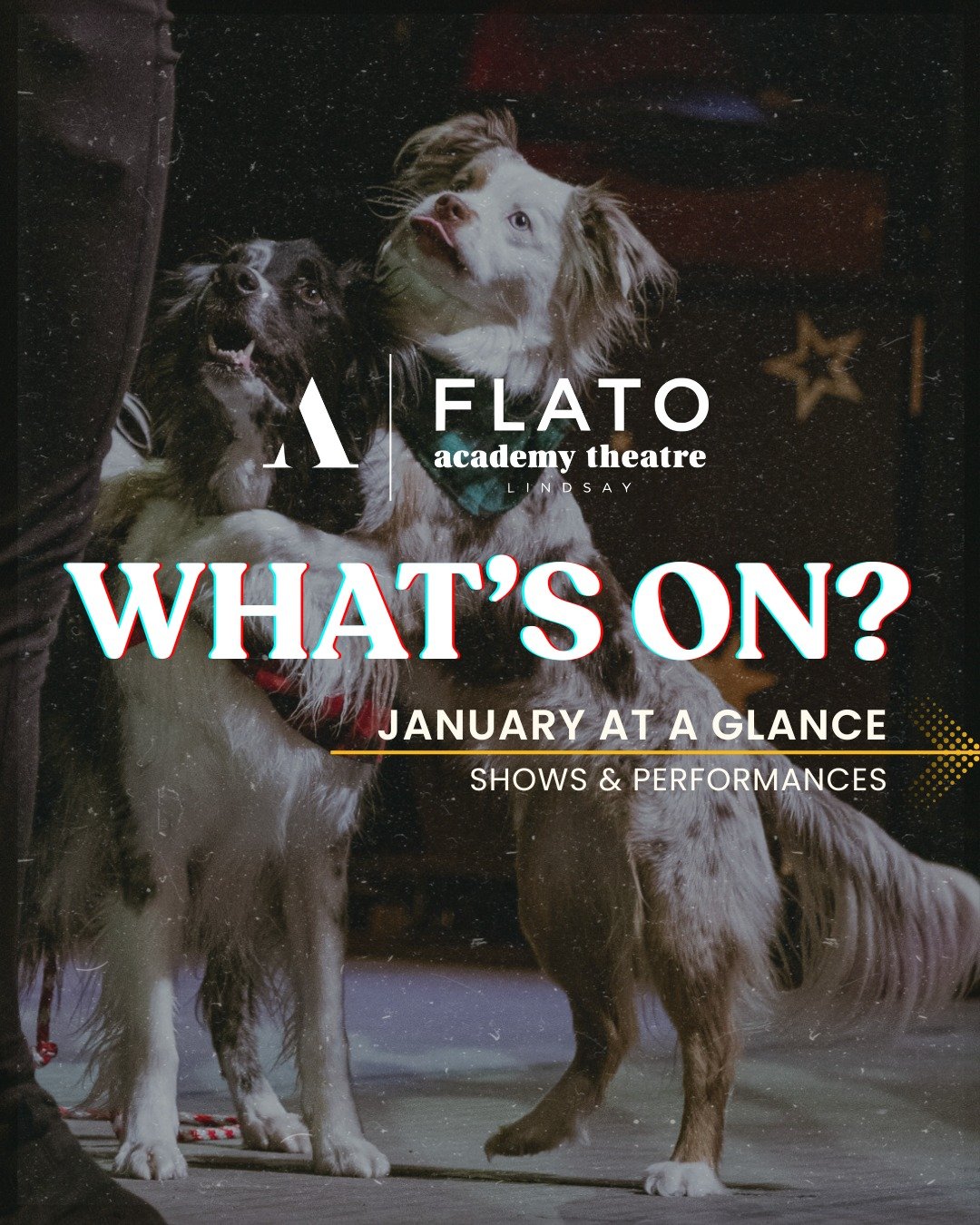 What's On❓
Here's the month of January at a glance:

January 23 @ 8:00PM - Honeymoon Suite
January 24 @ 7:30PM - Classic Elton 

For more information, visit our website and get your tickets! Link in bio🔗

#FlatoAcademyTheatre #KawarthaLakes #Theatre